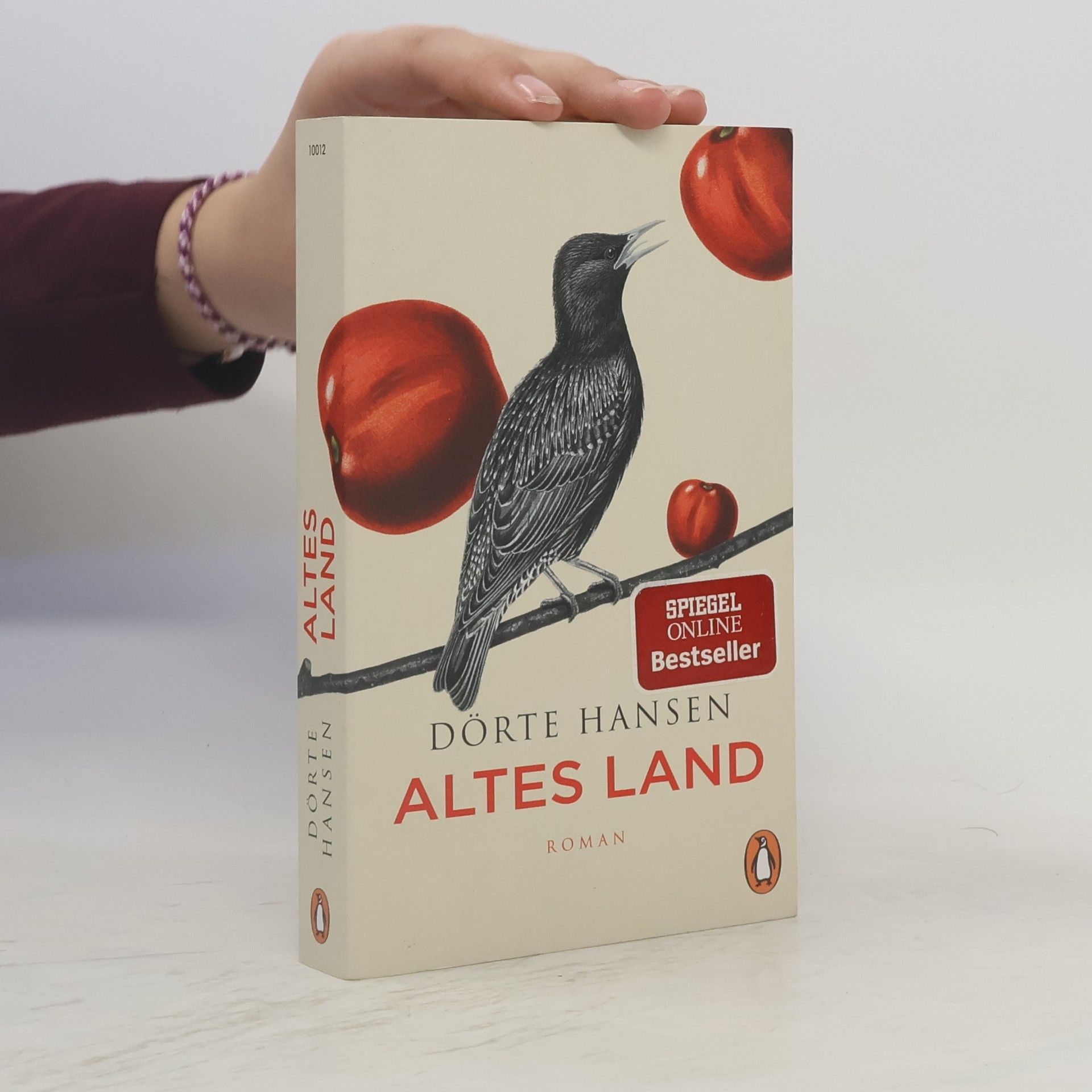 Dörte Hansen Altes Land