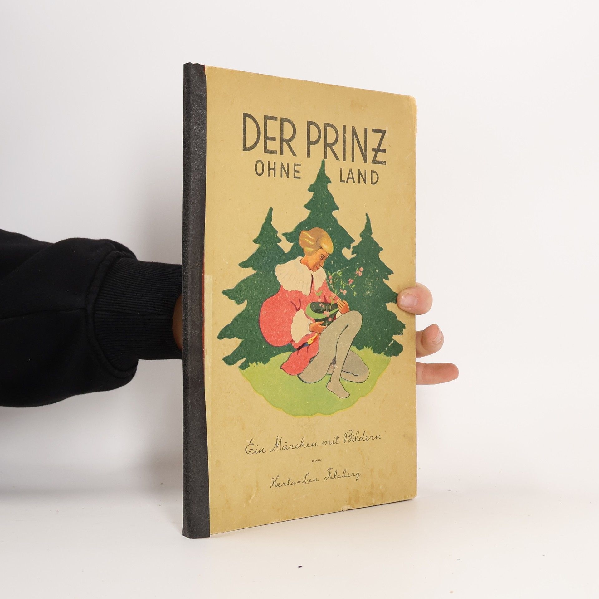 Der Prinz ohne Land