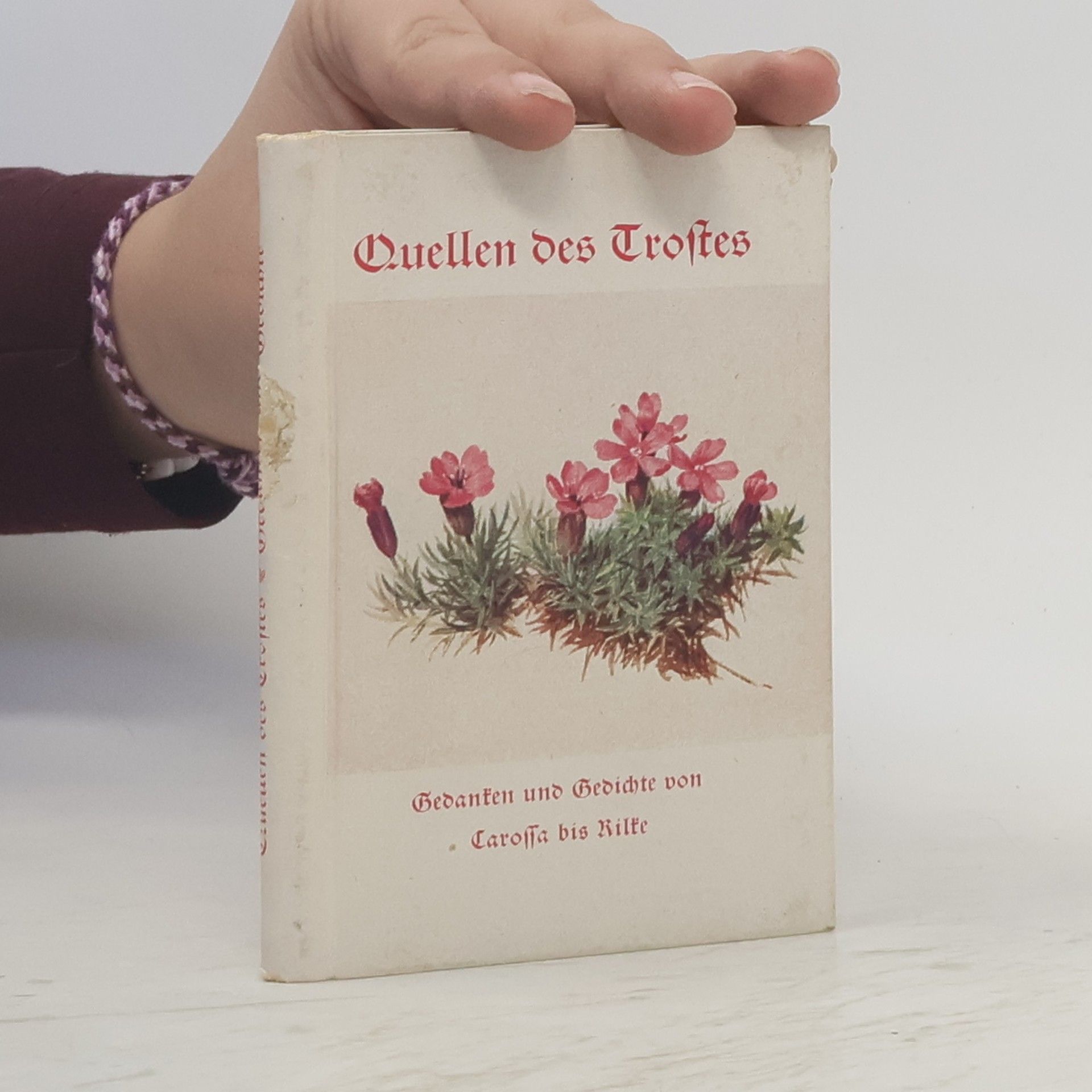 Autorenkollektiv Quellen des Trostes