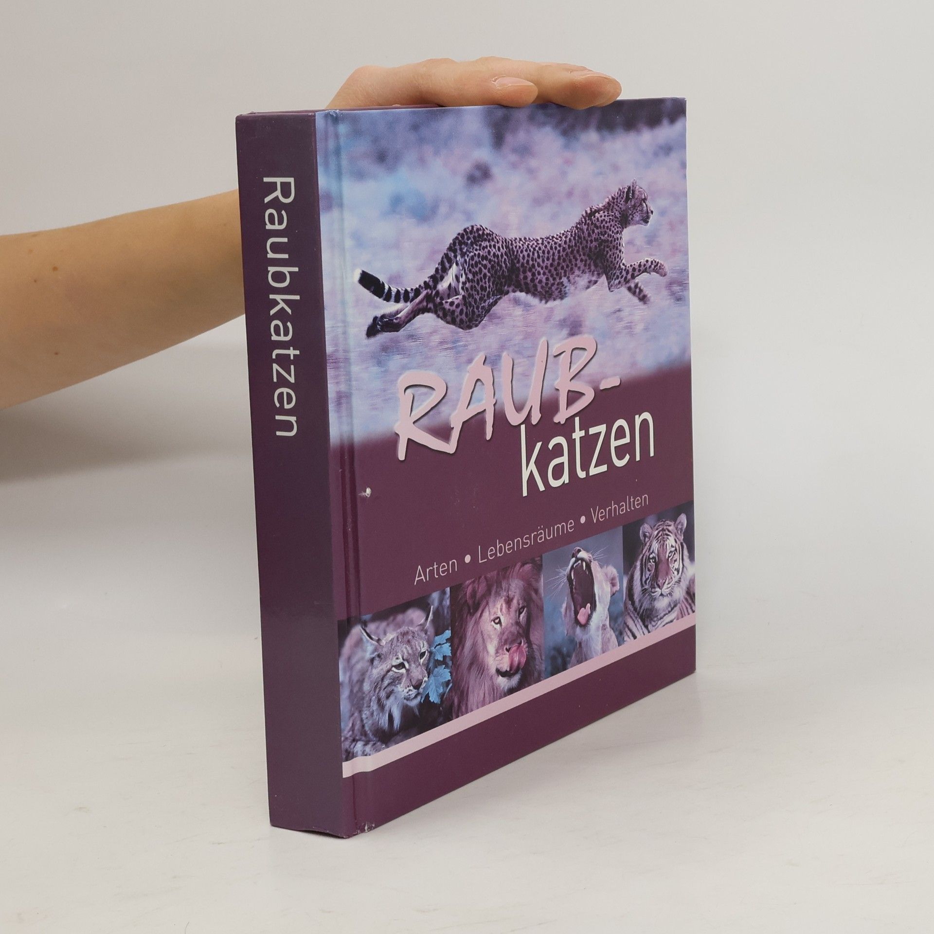 Hans W. Kothe Raub-katzen