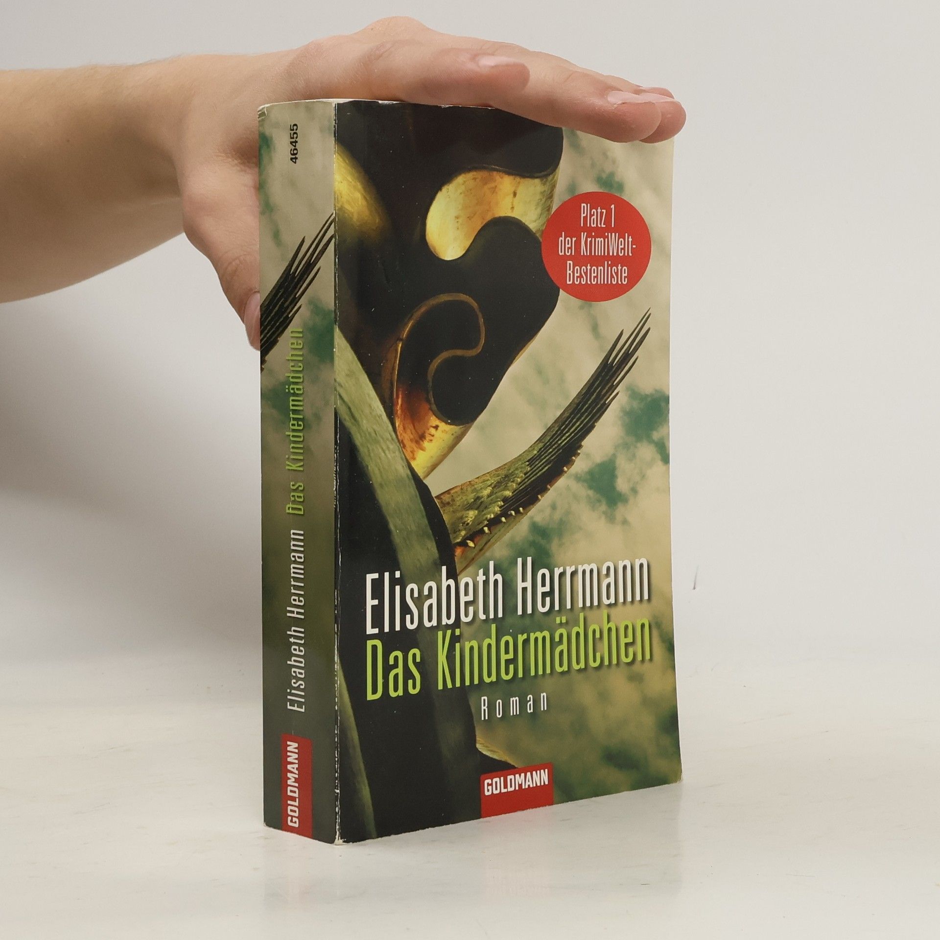 Elisabeth Hermann Das Kindermädchen