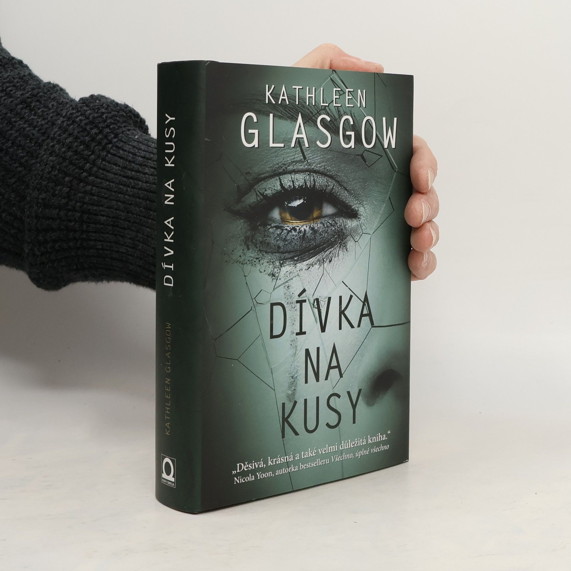 Kathleen Glasgow Dívka na kusy