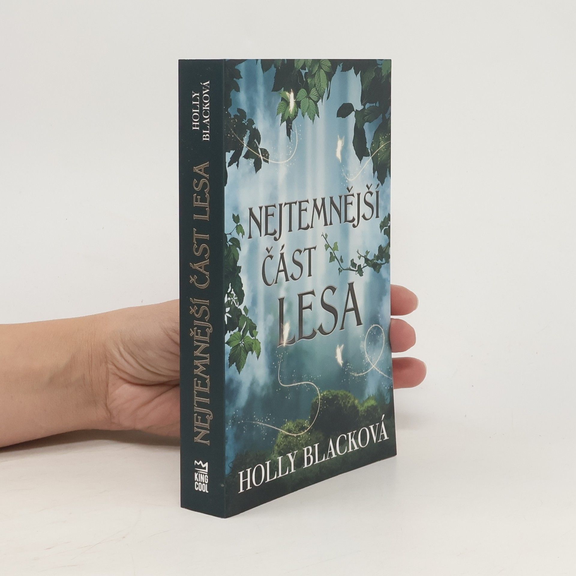 Holly Black Nejtemnější část lesa