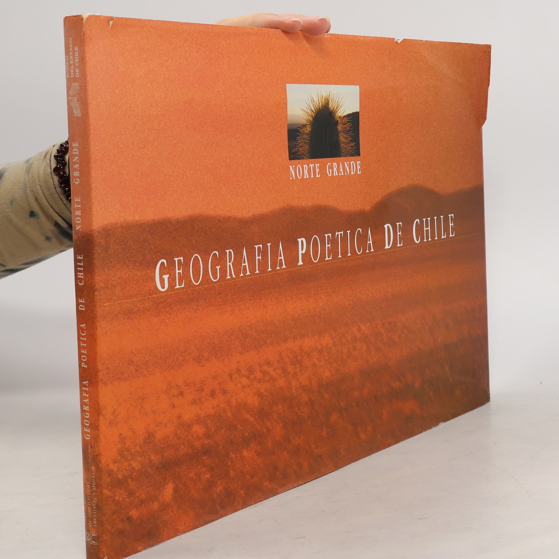 Collectif d'auteurs Geografia poetica de Chile