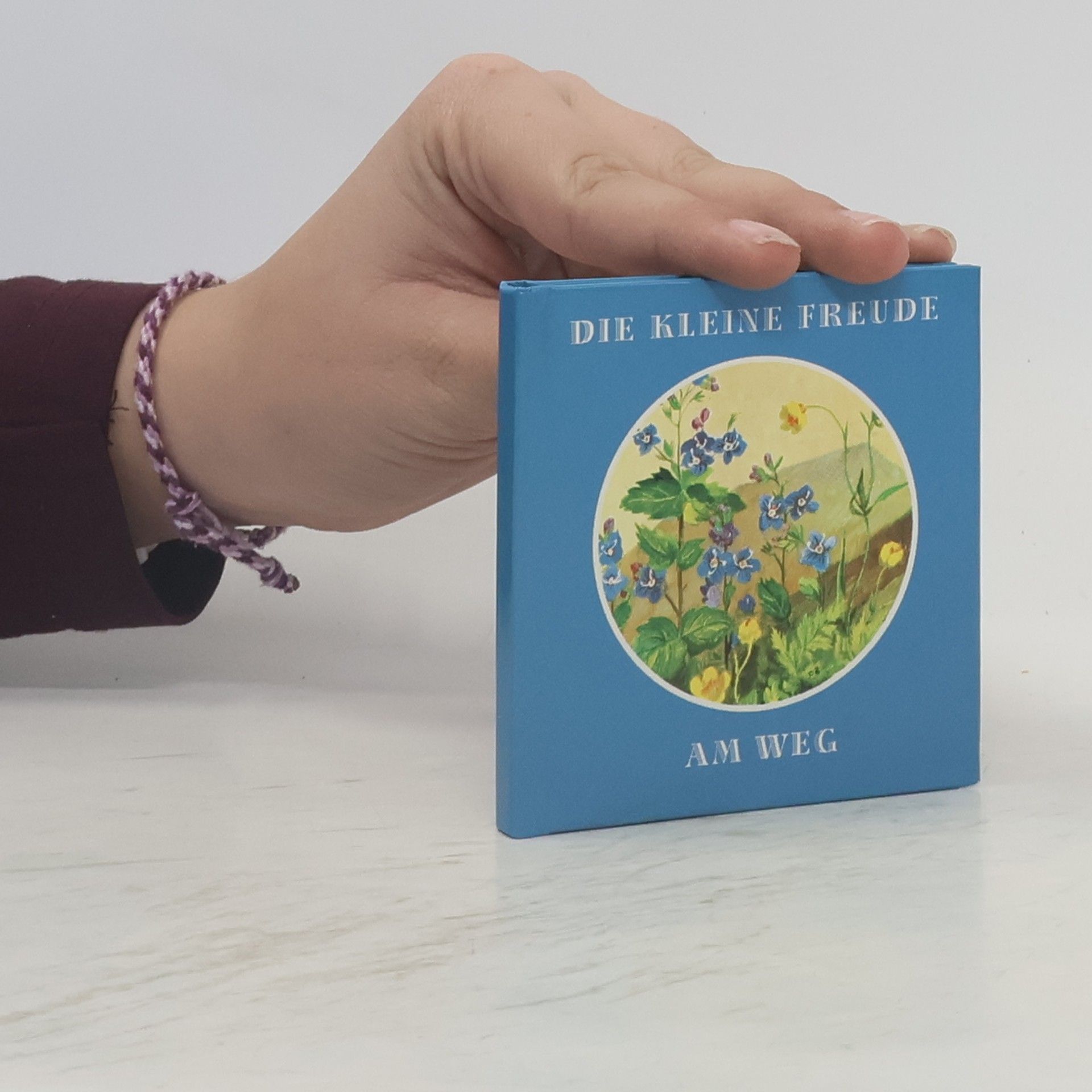 Autorenkollektiv Die kleine Freude am Weg