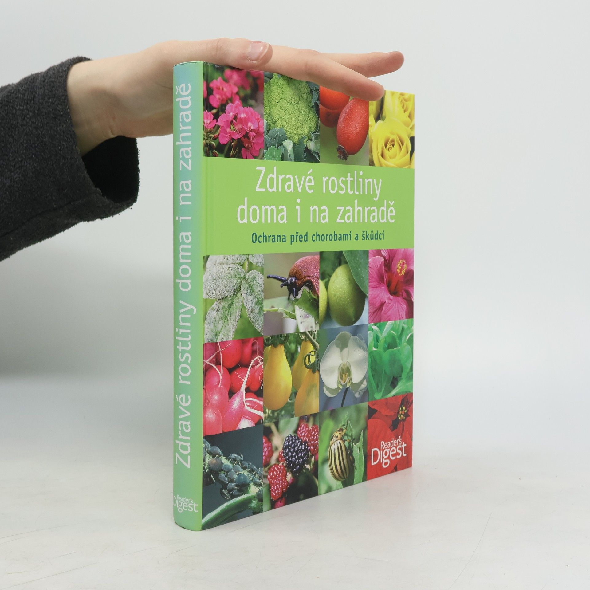 Michael Ernst-Pörksen Zdravé rostliny doma i na zahradě