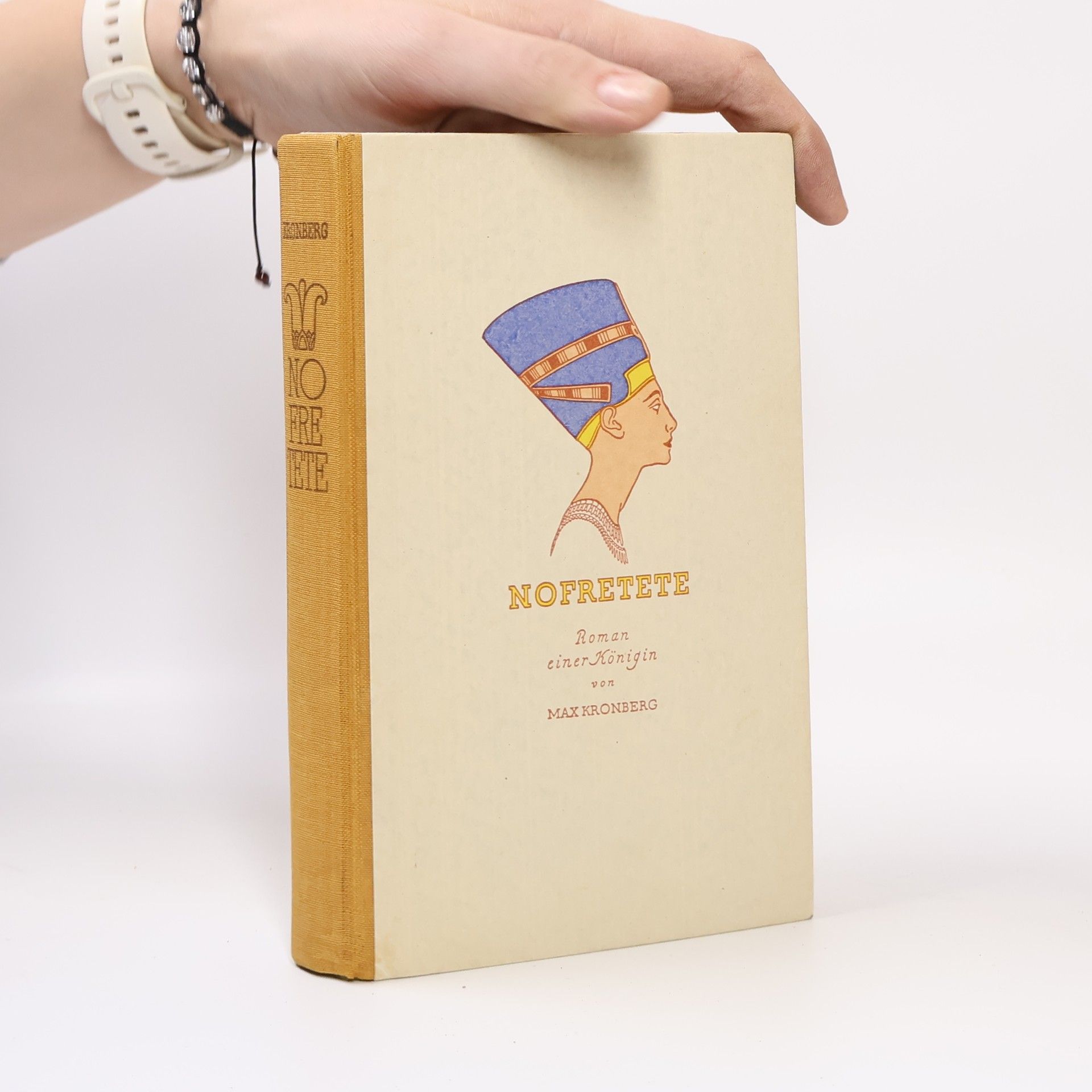 Nofretete. Roman einer Königin