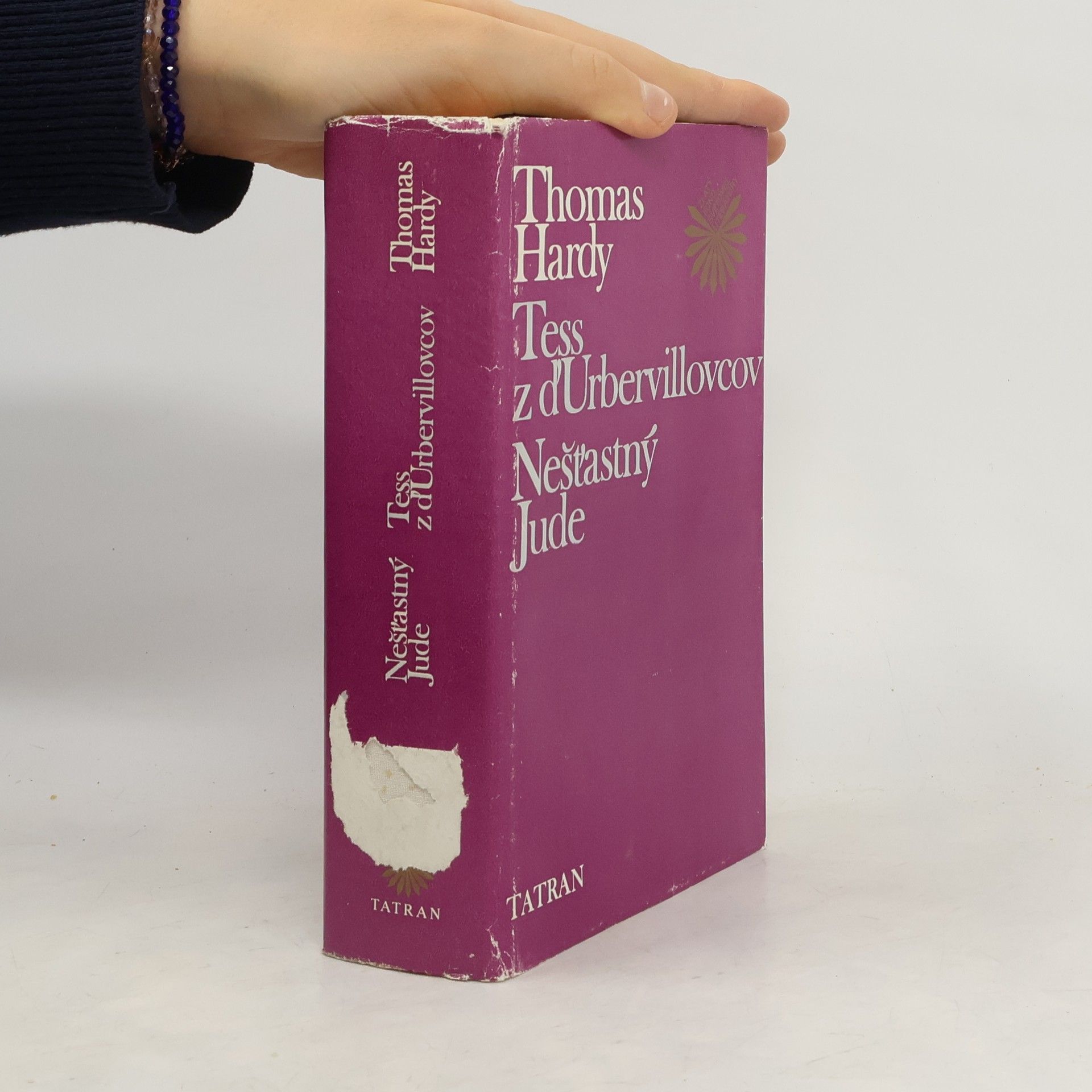 Thomas Hardy Tess z d'Urbervillovcov. Nešťastný Jude