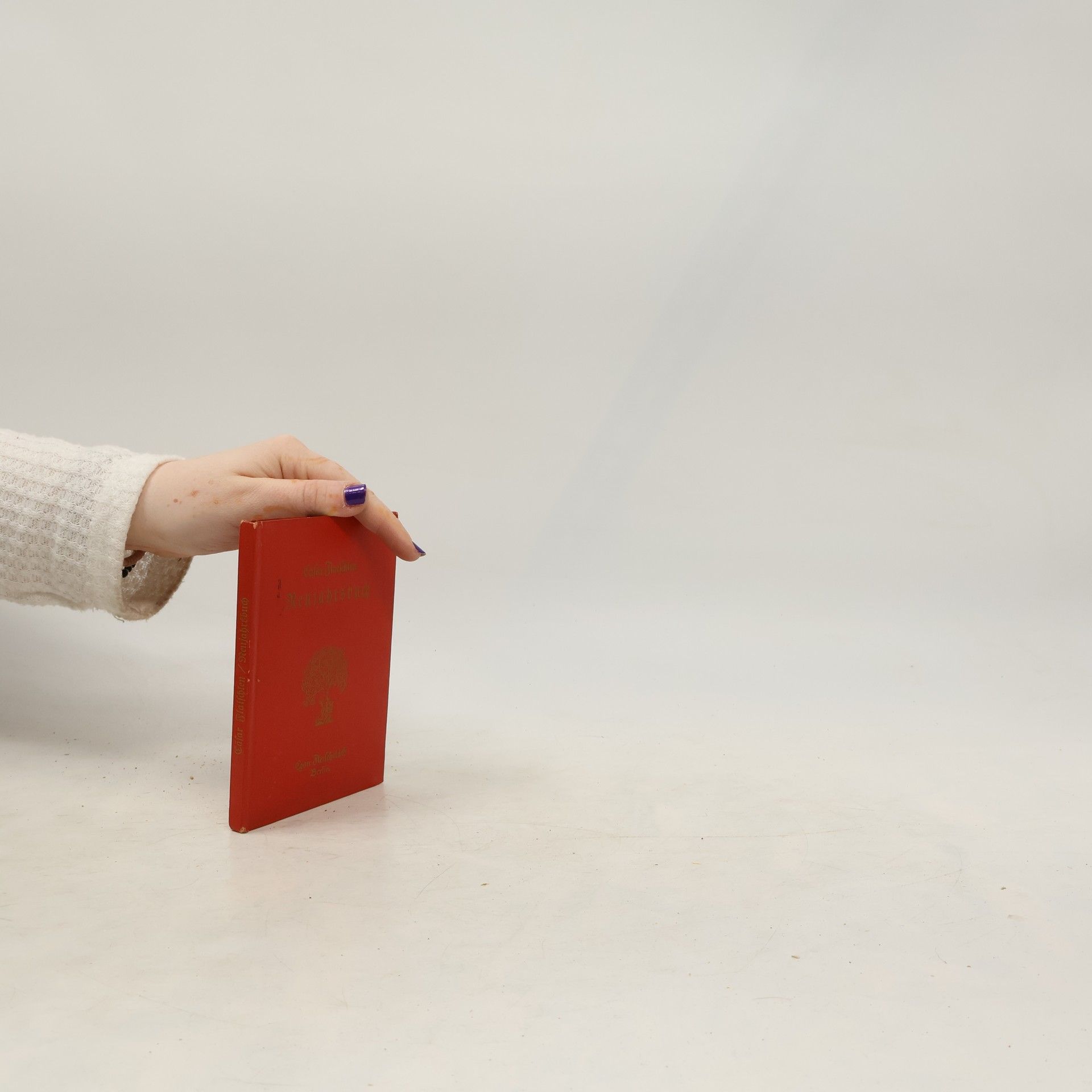 Cäsar Flaischlen Neujahrsbuch