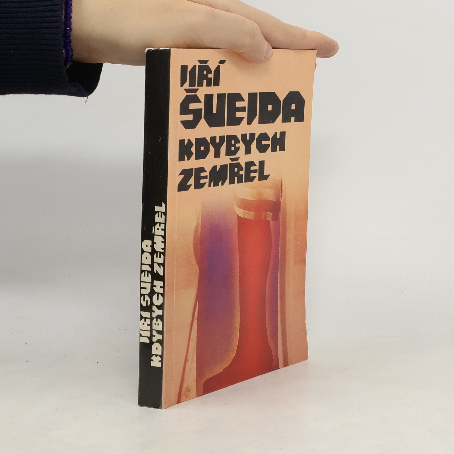 Jiří Švejda Kdybych zemřel