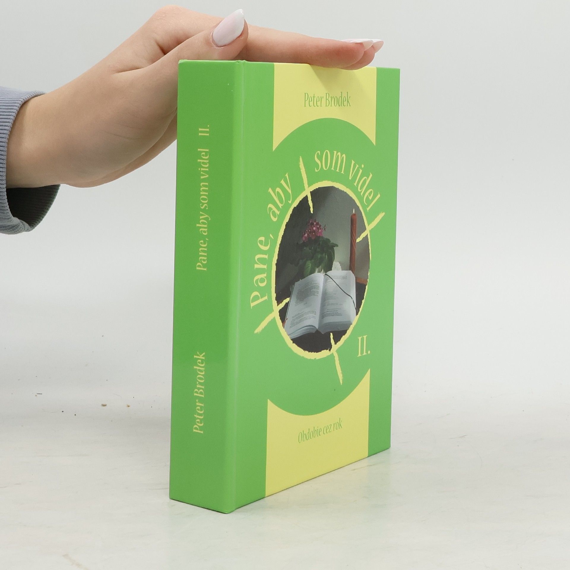 Peter Brodek Pane, aby som videl II.