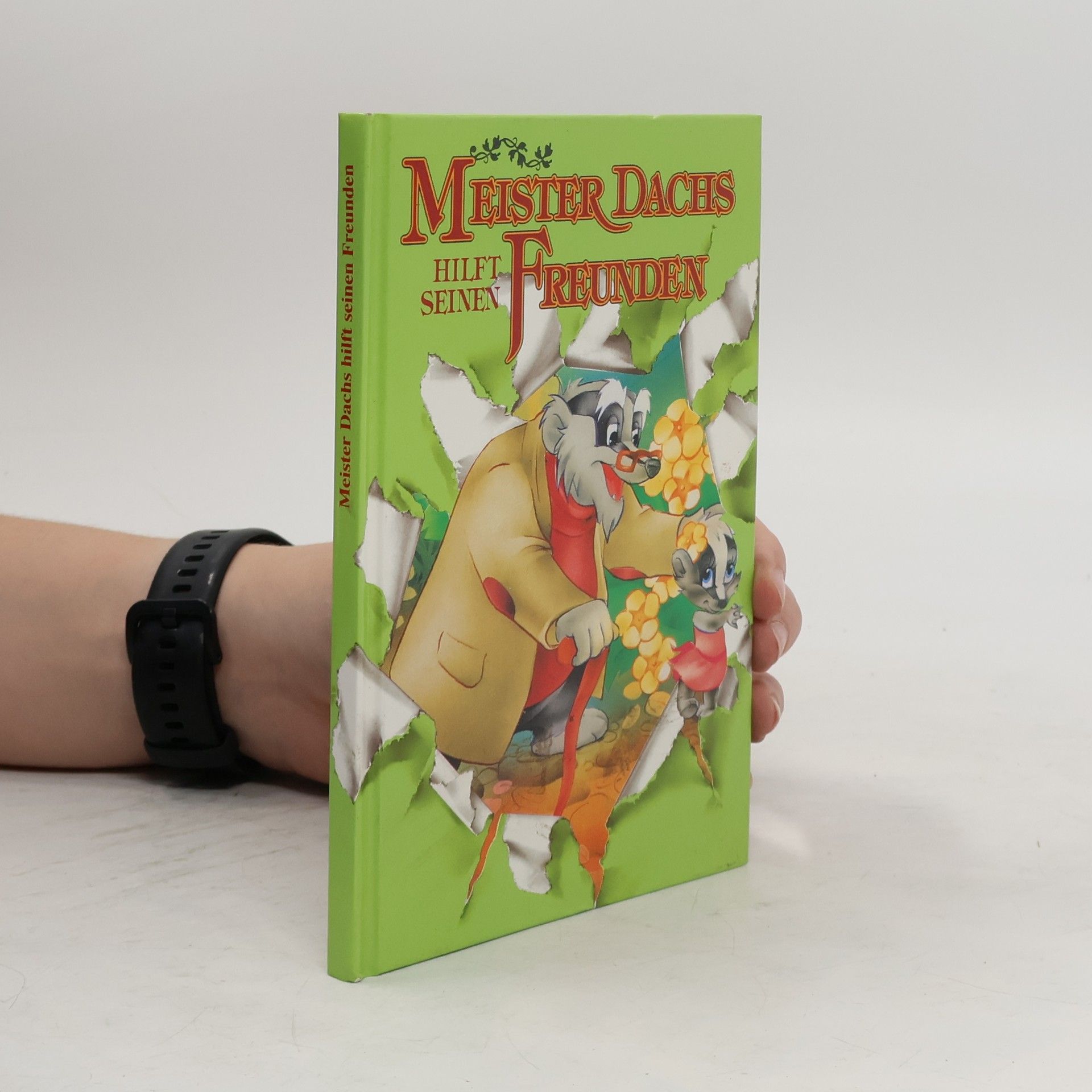 Autores varios Meister Dachs