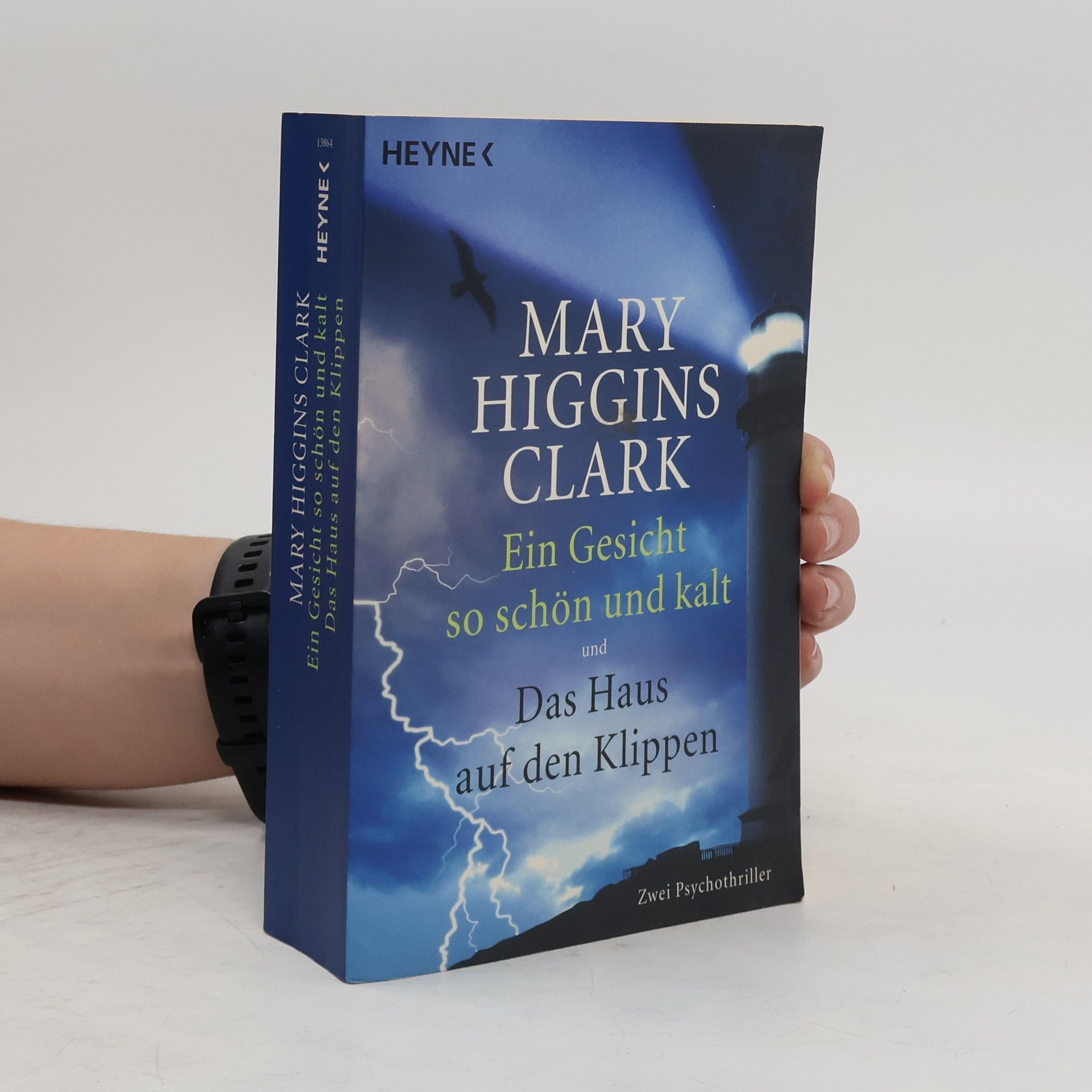 Ein Gesicht so schön und kalt. Das Haus auf den Klippen