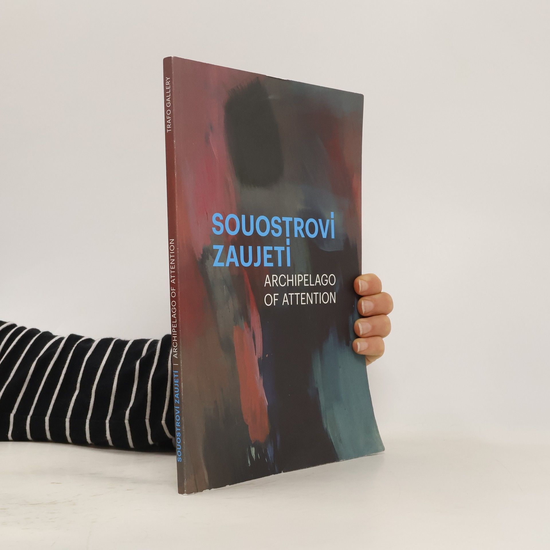 Autorenkollektiv Souostroví zaujetí