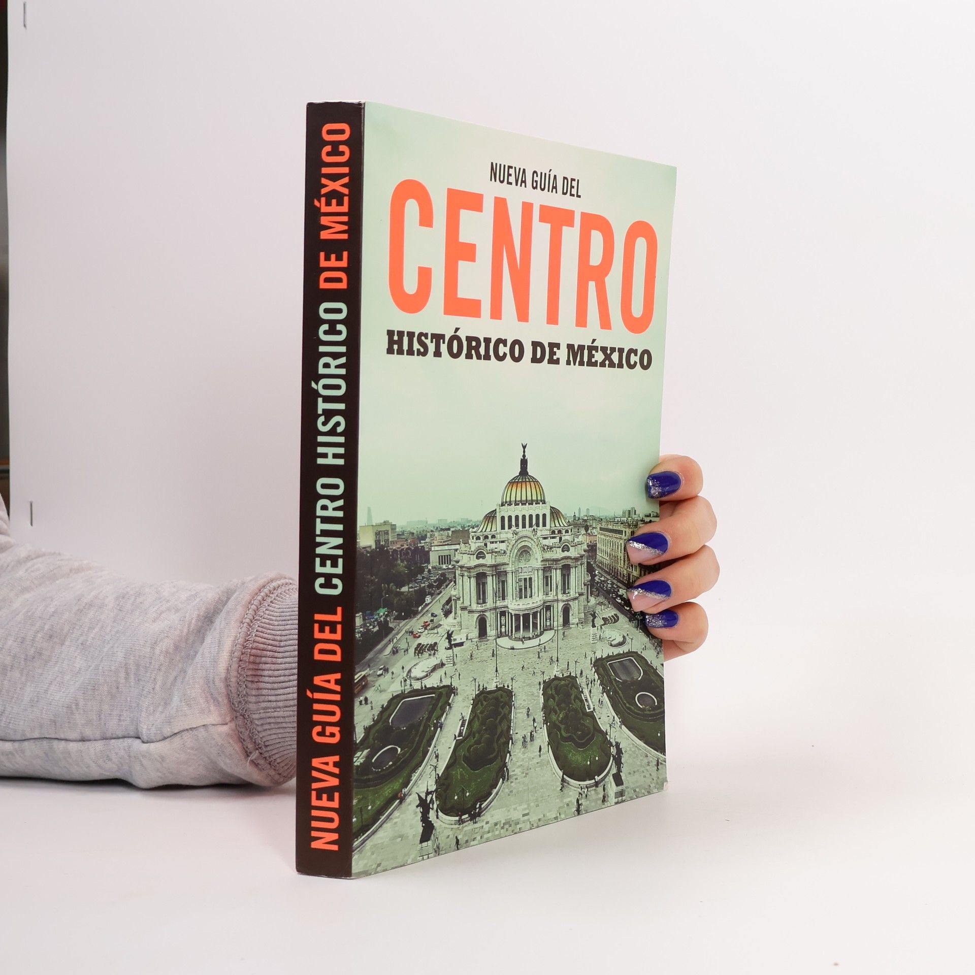 AA.VV. Nueva Guía del Centro Histórico de México