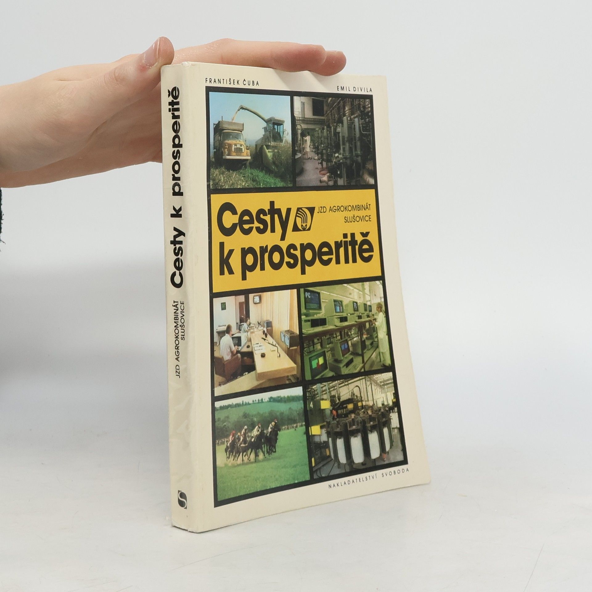 Emil Divila Cesty k prosperitě