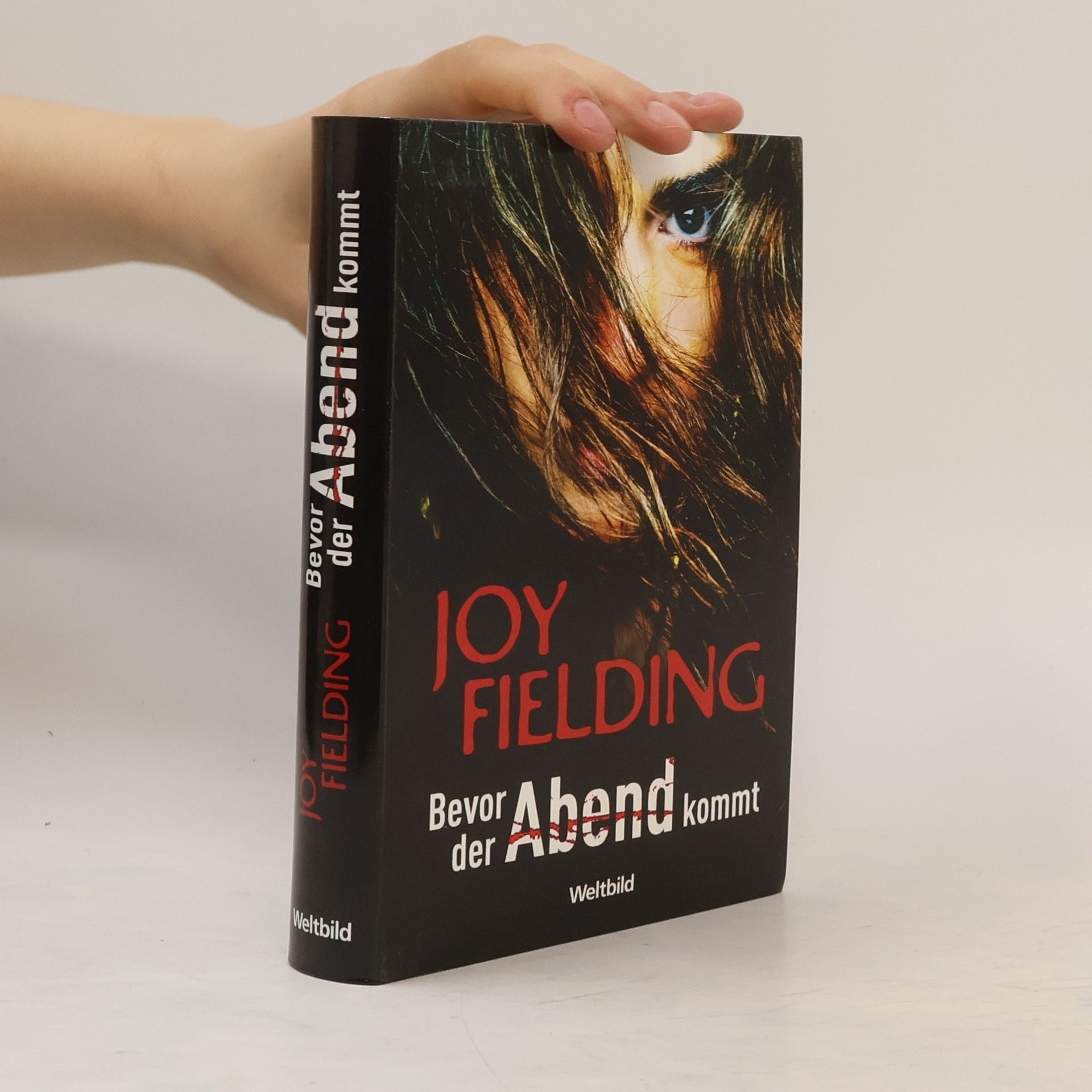 Joy Fielding Bevor der Abend kommt