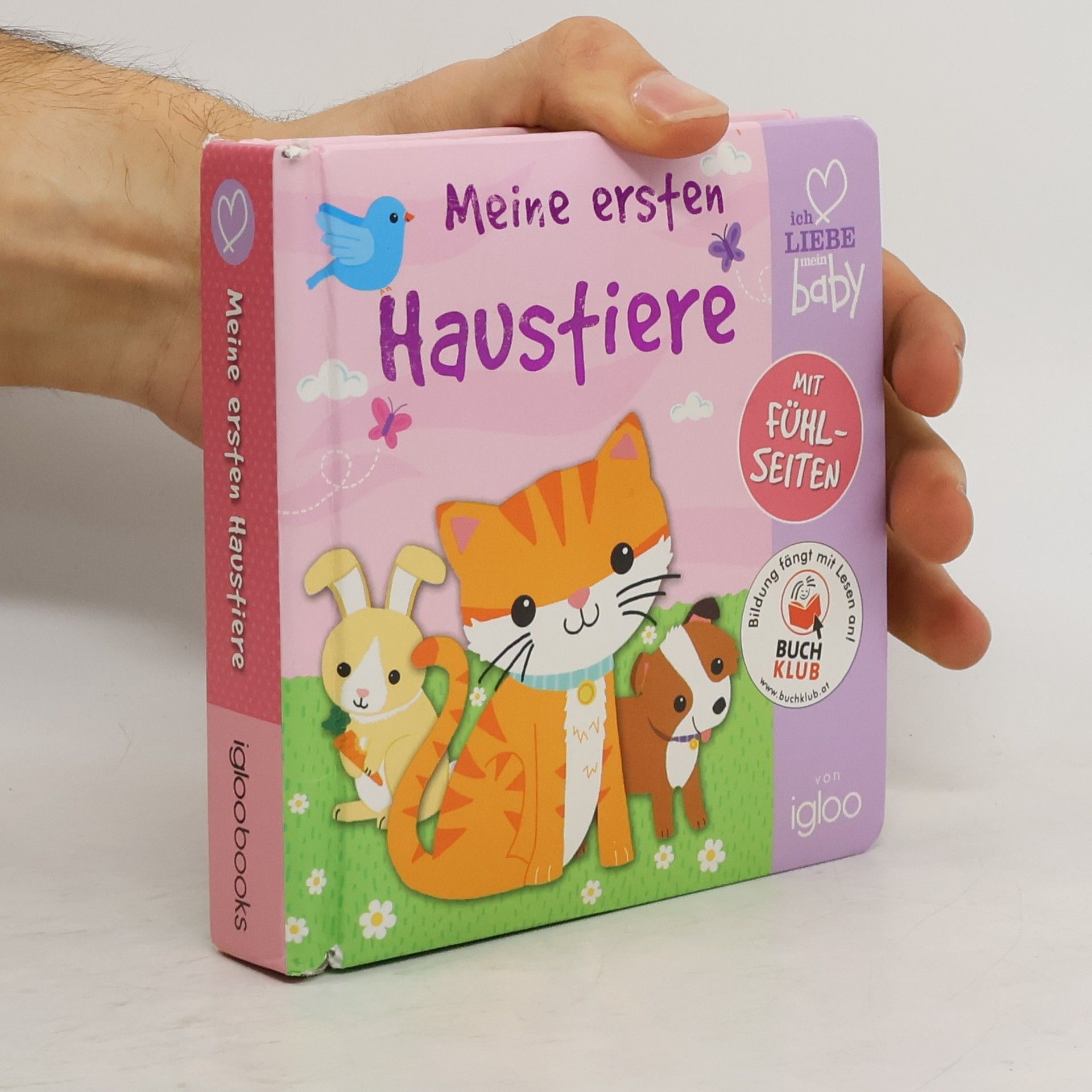 Kolektív autorov Meine ersten Haustiere