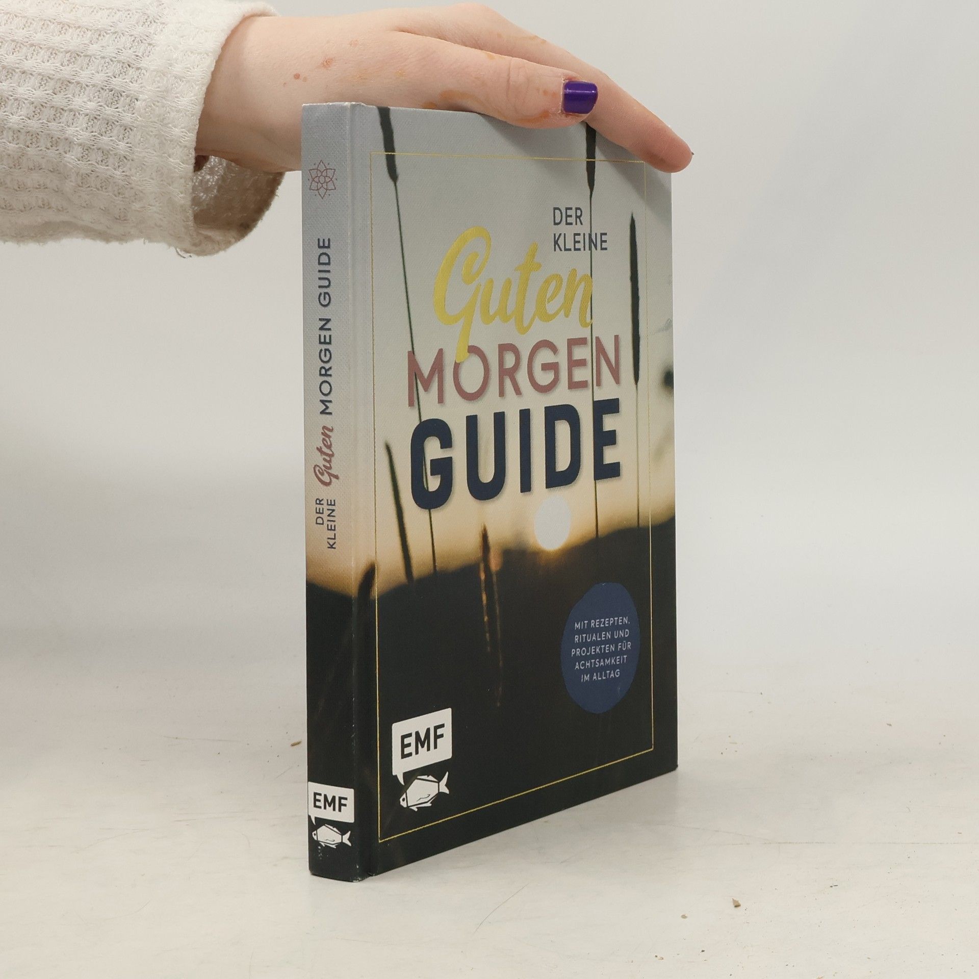 Kolektiv autorů Der kleine guten Morgen Guide