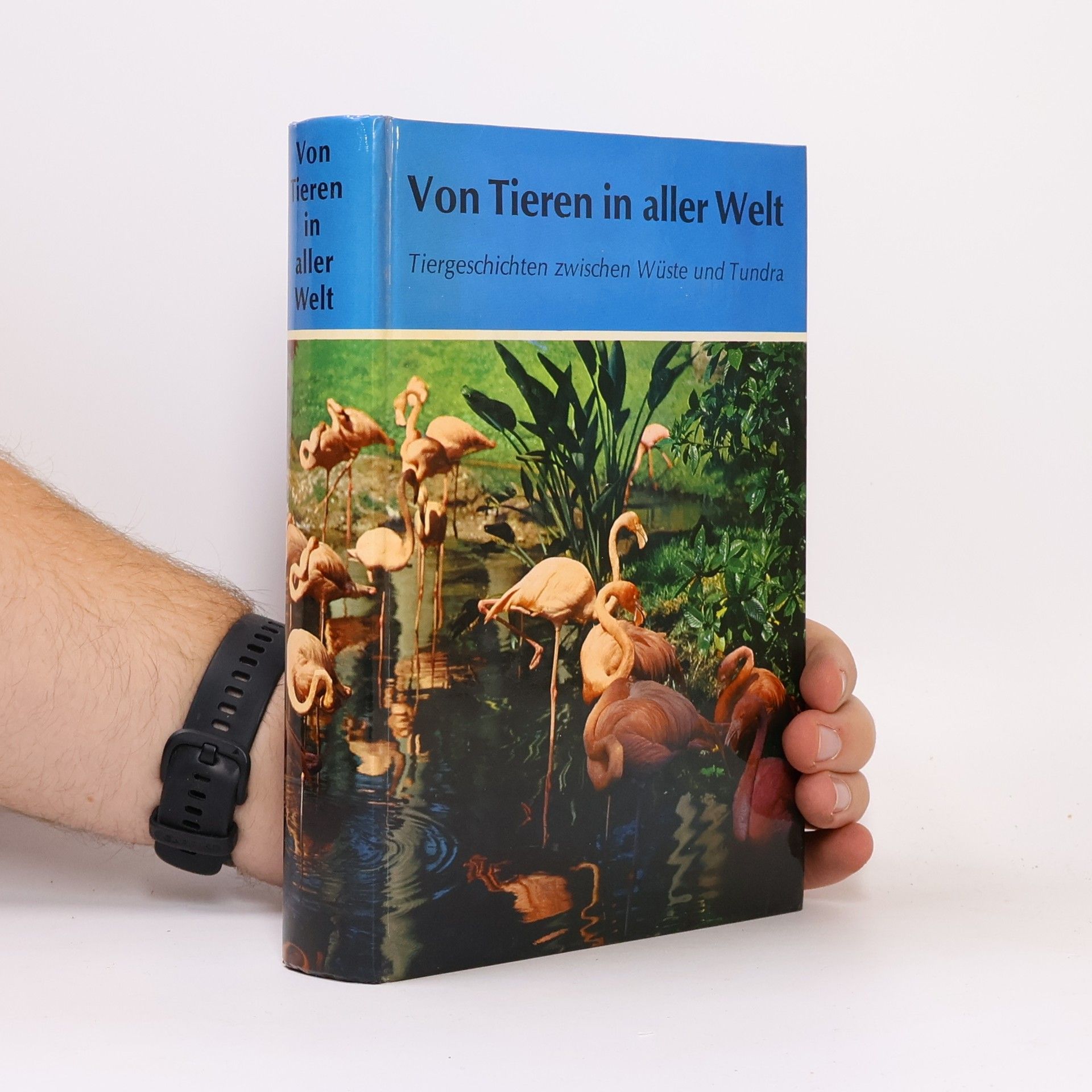 Auteurscollectief Von Tieren in aller Welt