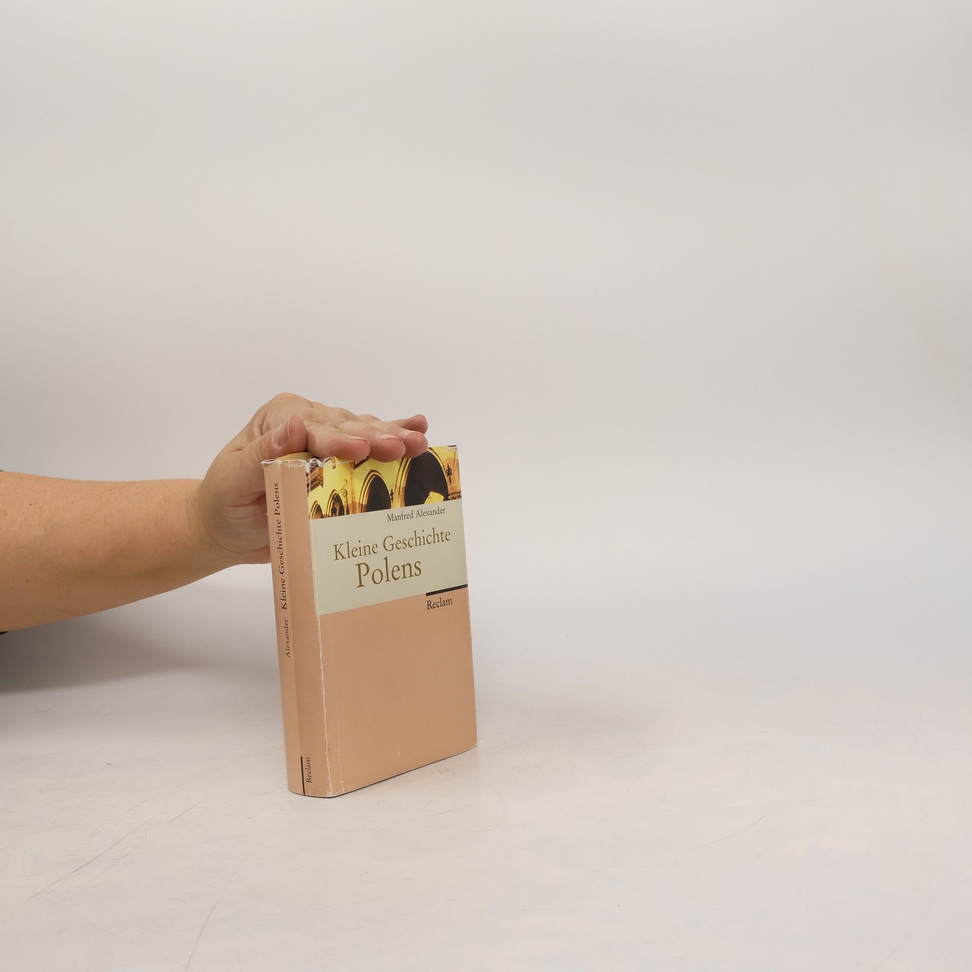 Kleine Geschichte Polens