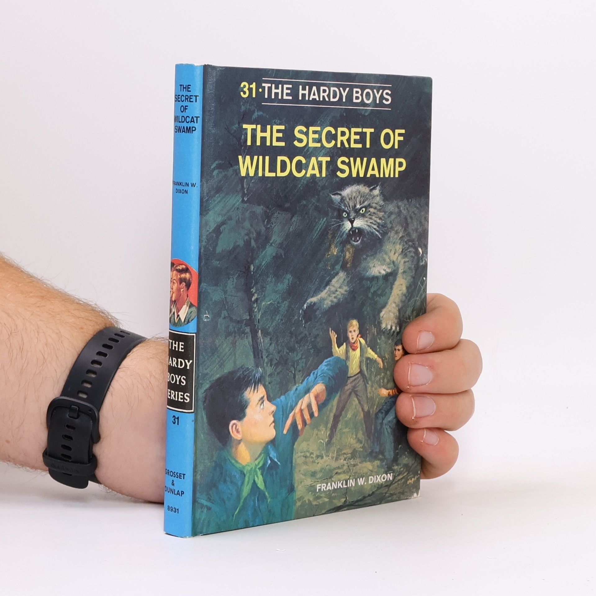 Hardy Boys 31. The Secret of Wildcat Swamp