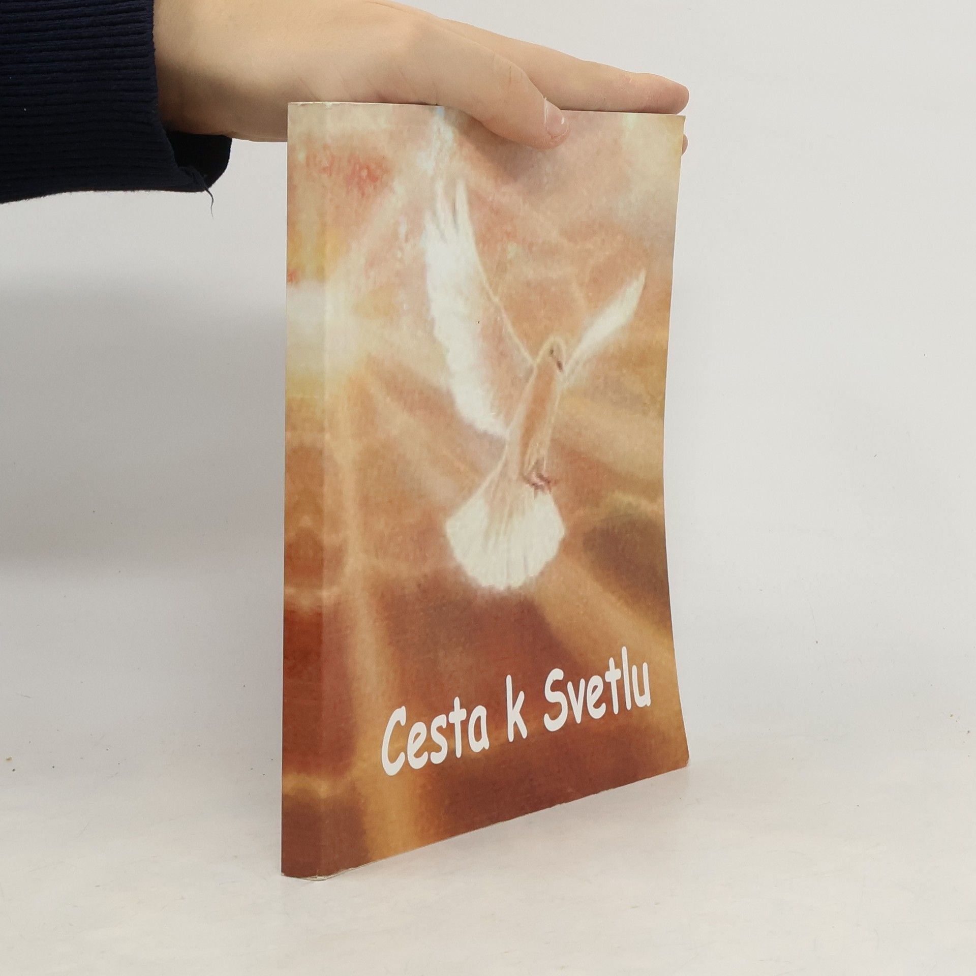 AA.VV. Cesta k Svetlu