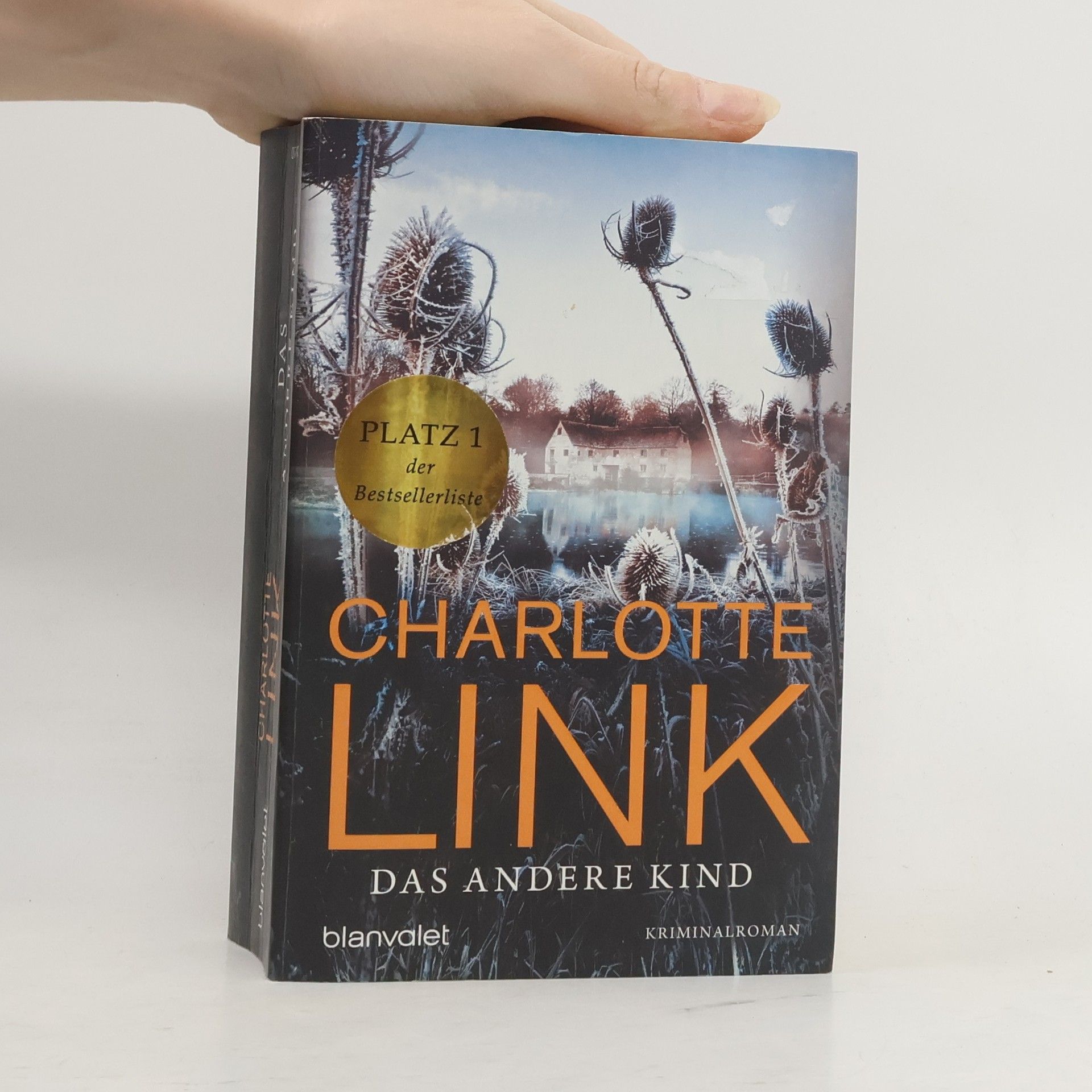 Charlotte Link Das andere Kind