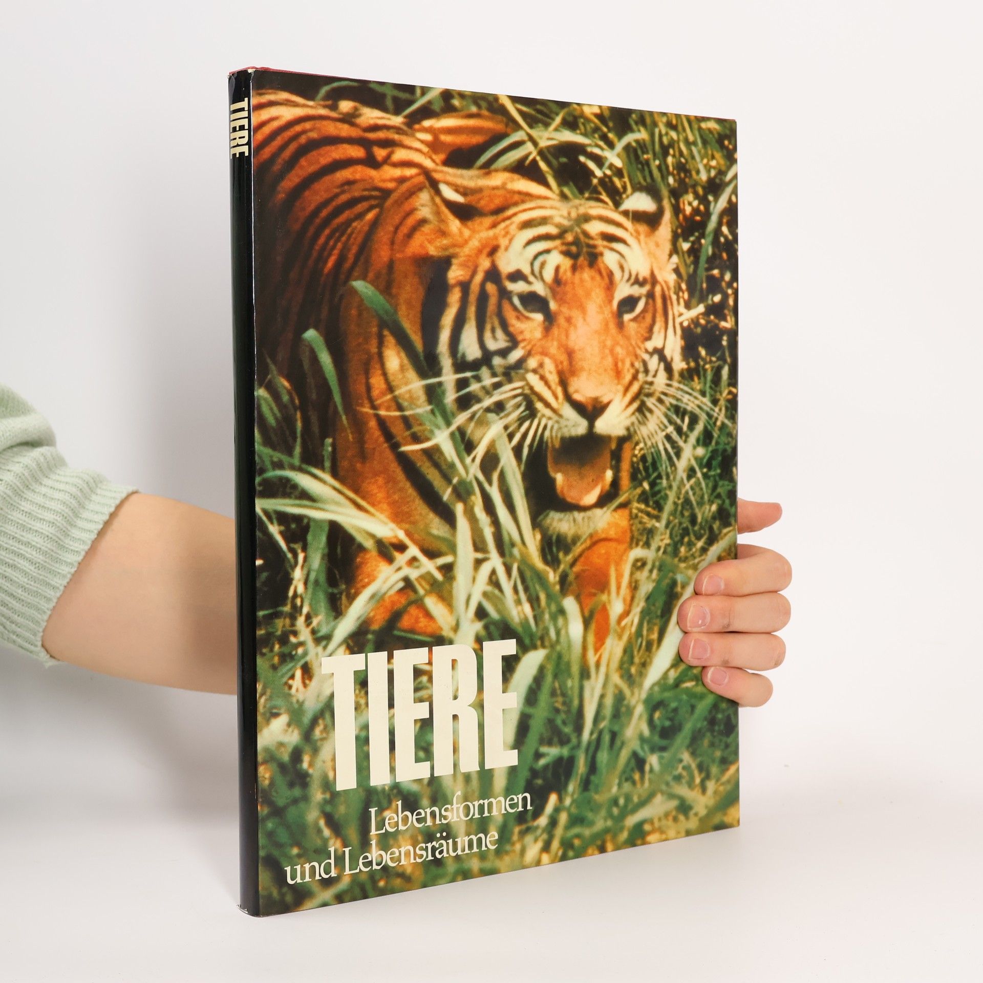 Tiere. Lebensformen und Lebensräume