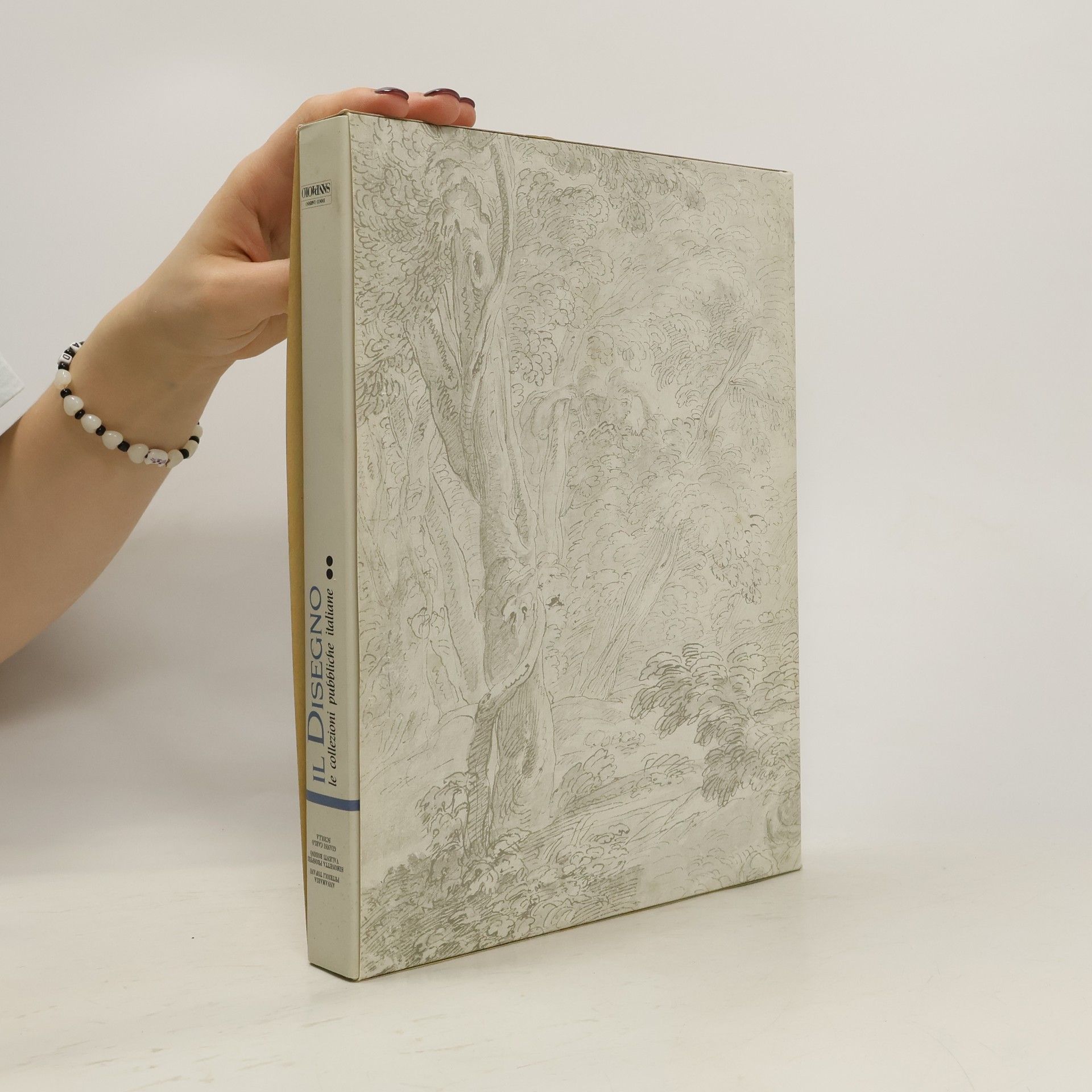 Kolektiv autorů Il Disegno le collezioni pubbliche italiane