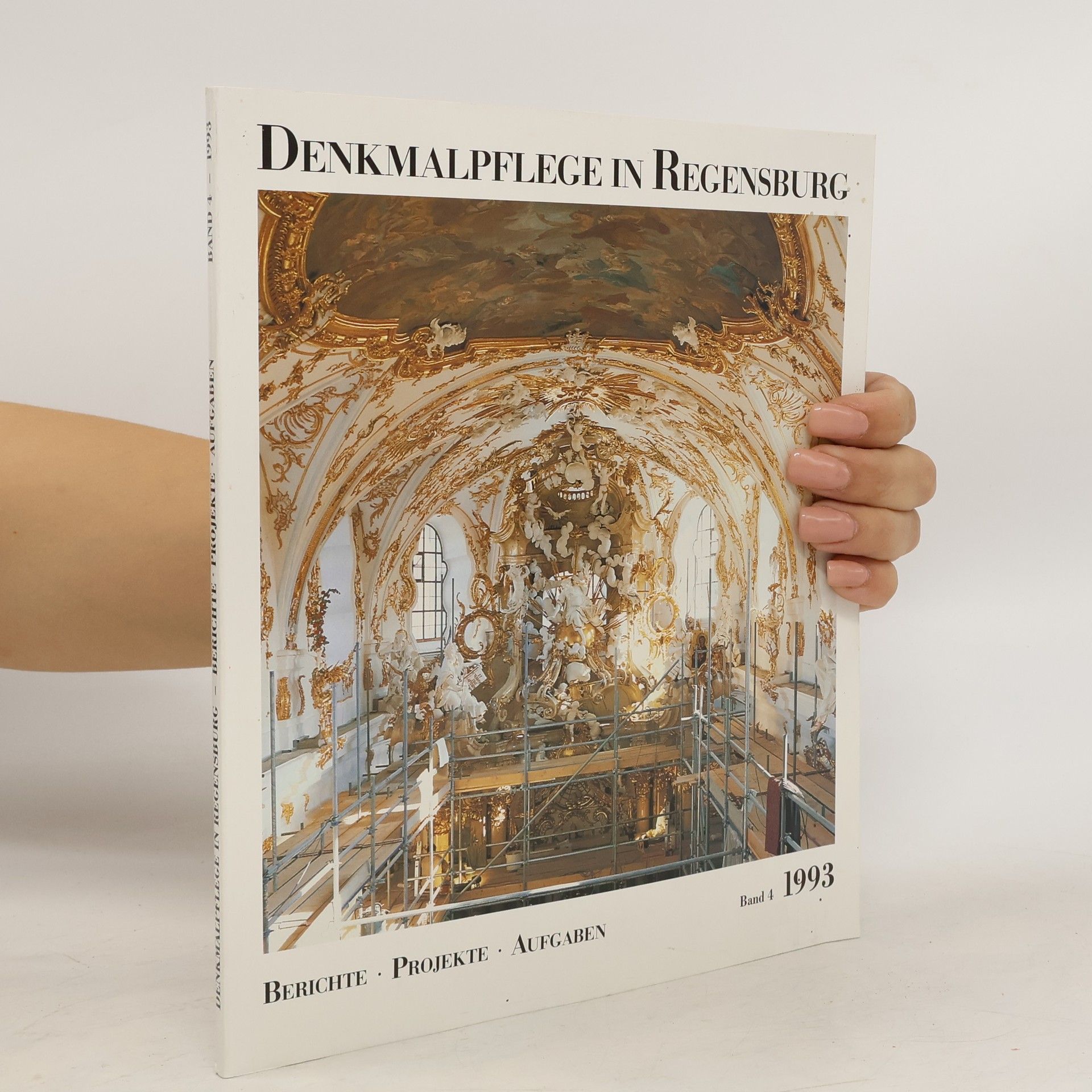 Kolektív autorov Denkmalpflege in Regensburg 4