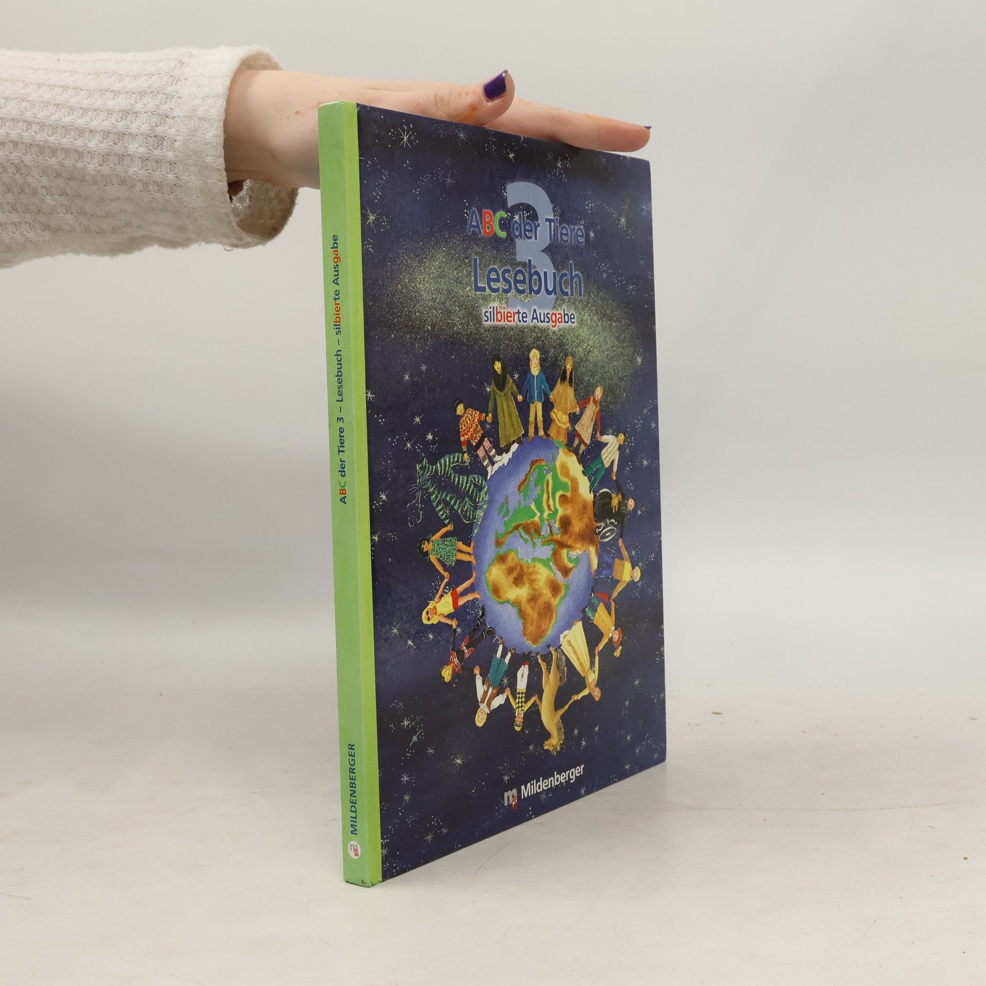 Bettina Erdmann 3. Klasse, Lesebuch (Silbierte Ausgabe)