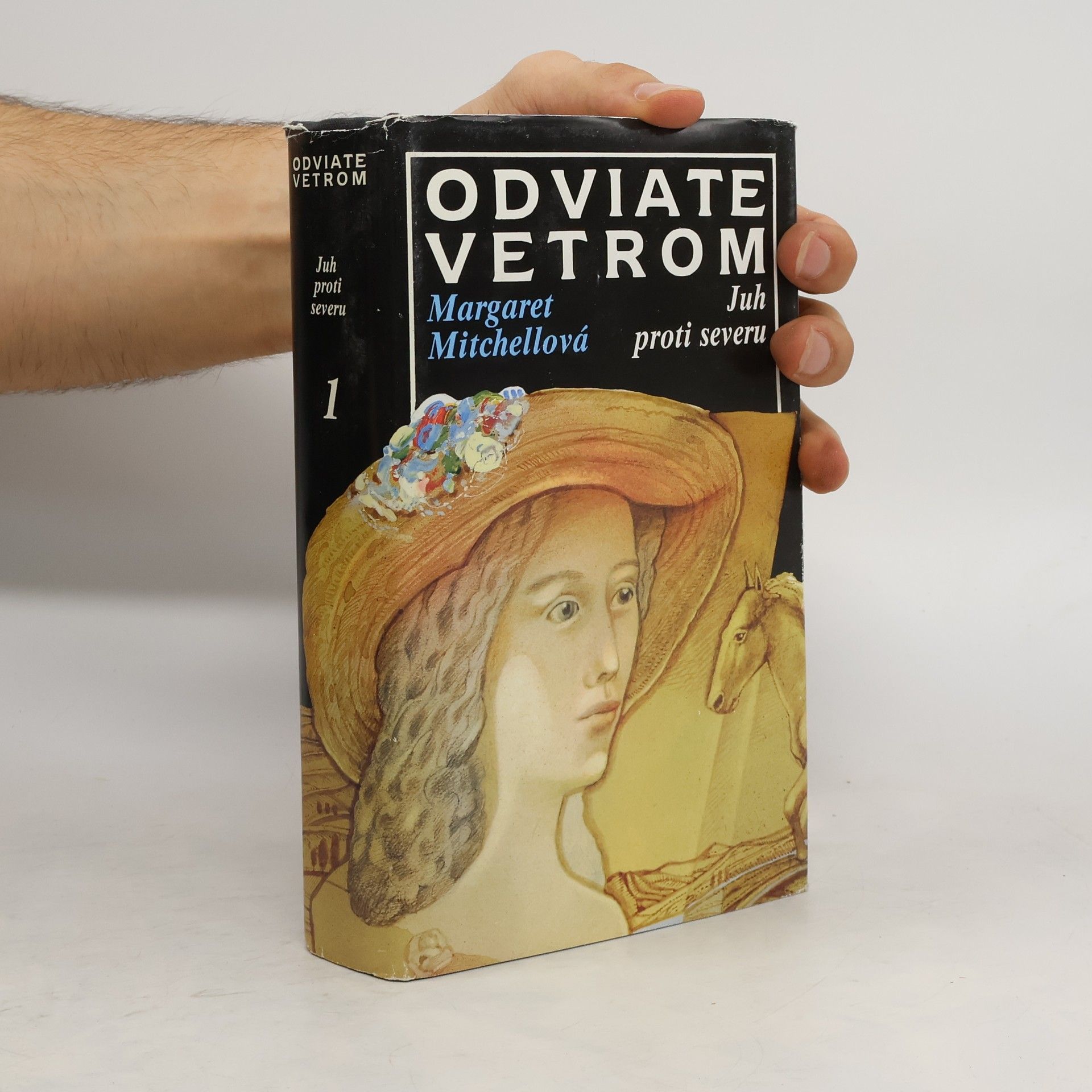 Margaret Mitchellová Odviate vetrom 1. Juh proti severu