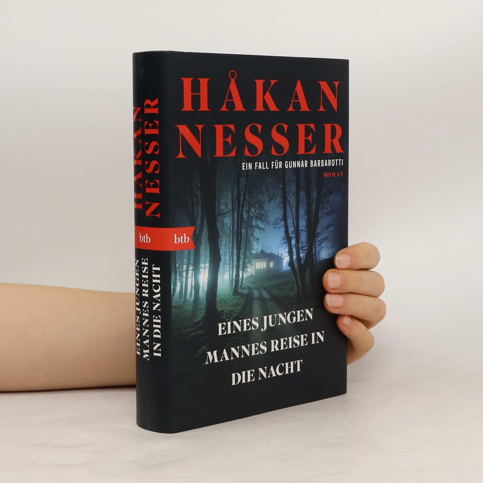 Ein Fall für Gunnar Barbarotti: Eines jungen Mannes Reise in die Nacht