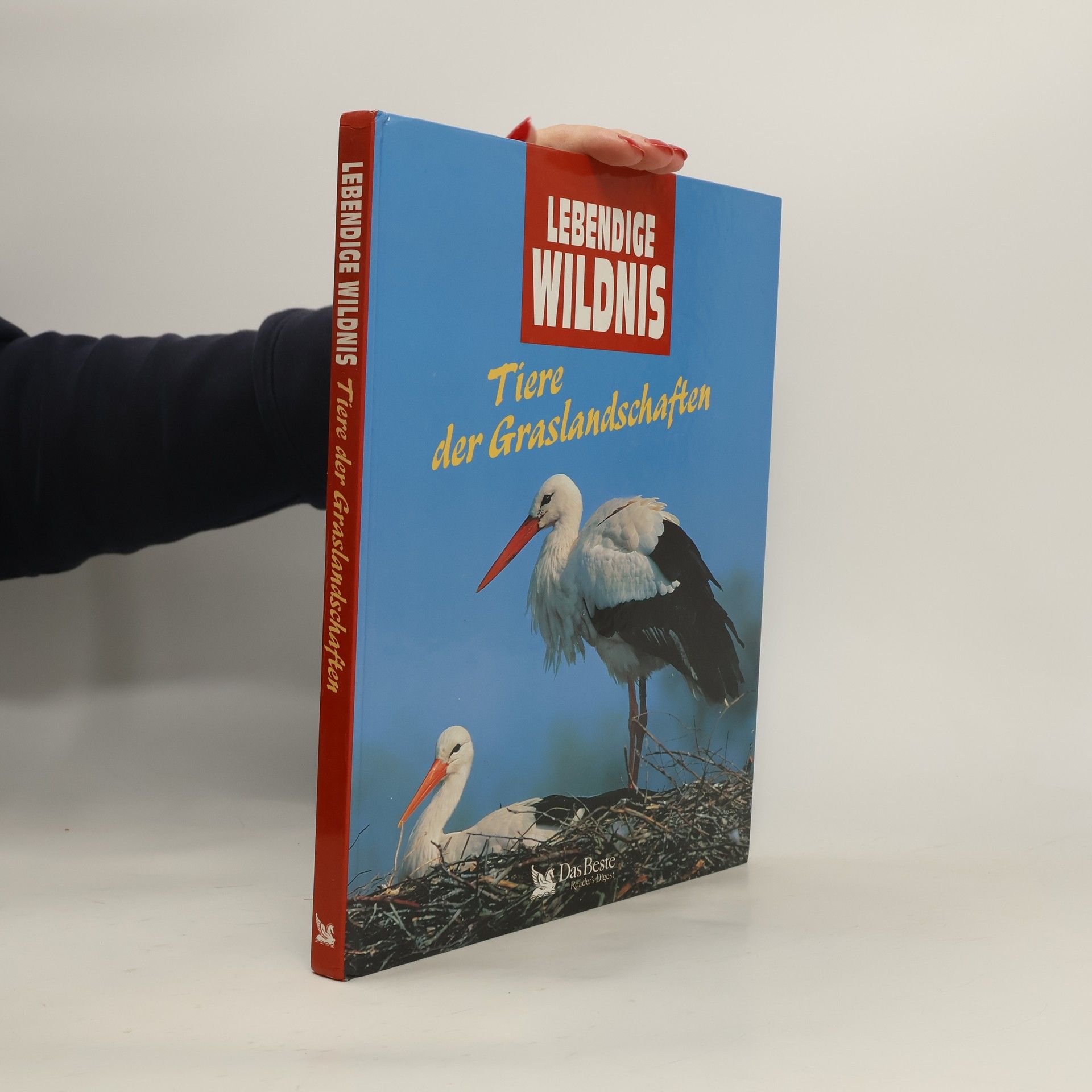 Autores varios Lebendige Wildnis : Tiere der Graslandschaften