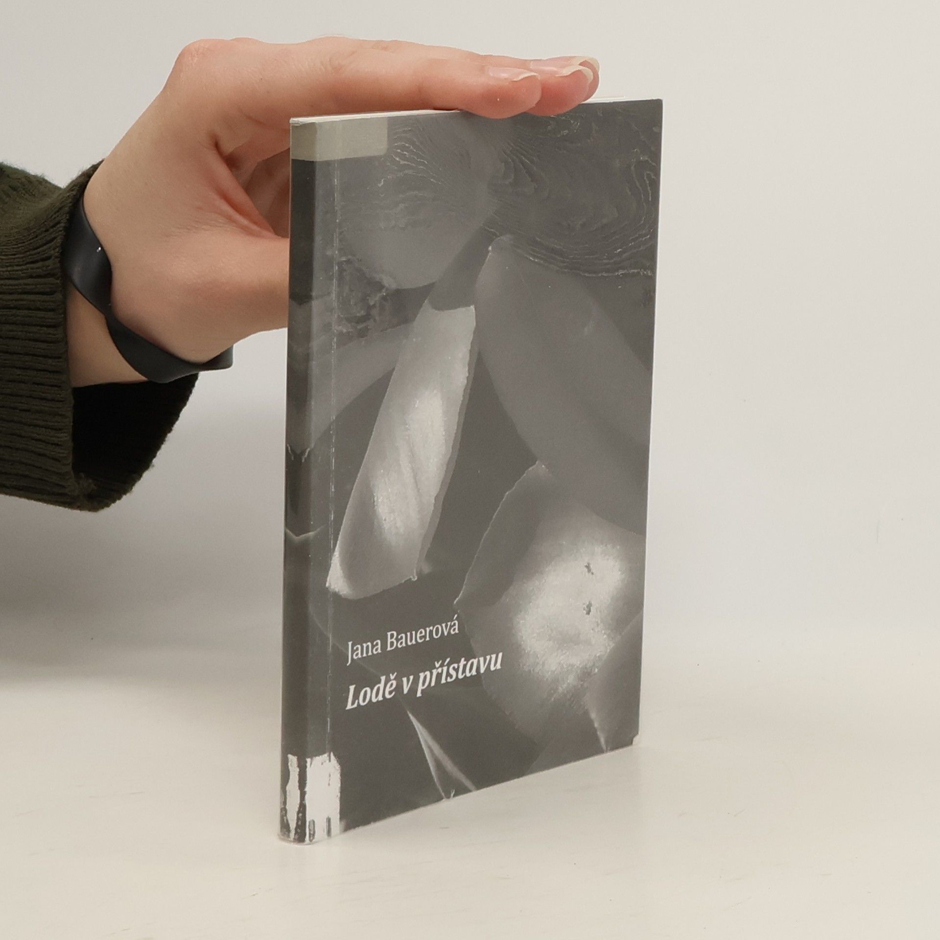 Jana Bauer Lodě v přístavu