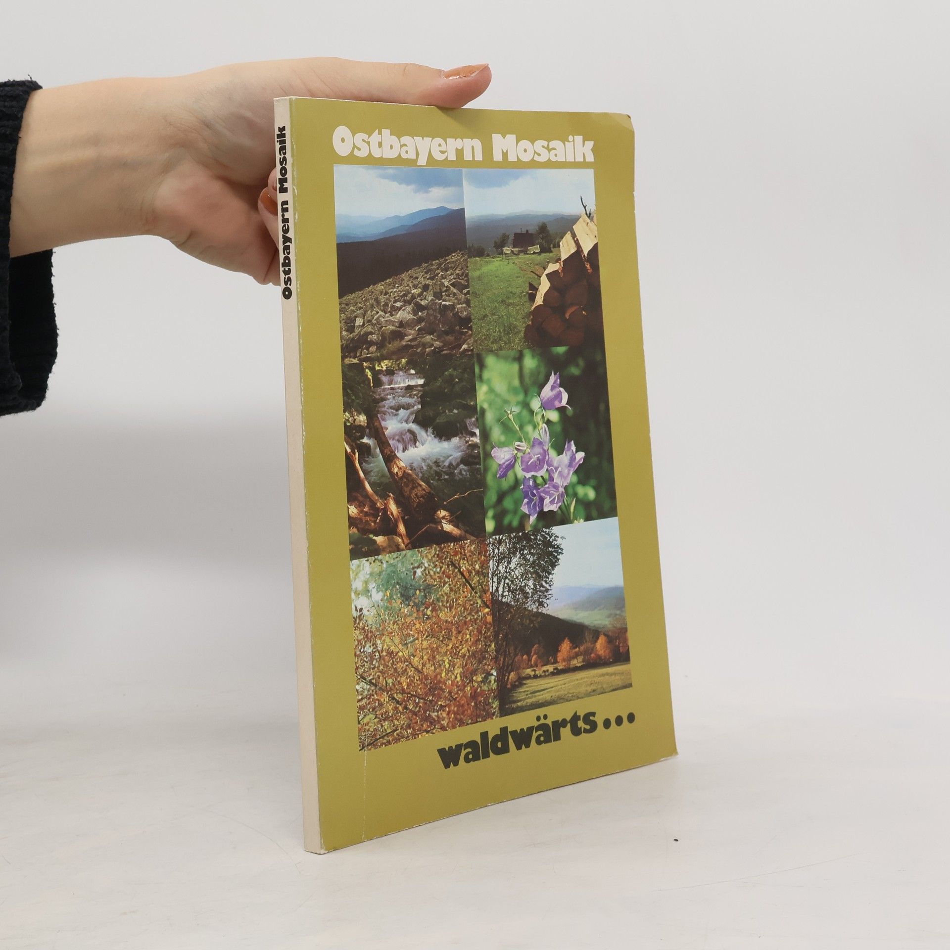 Ostbayern-Mosaik