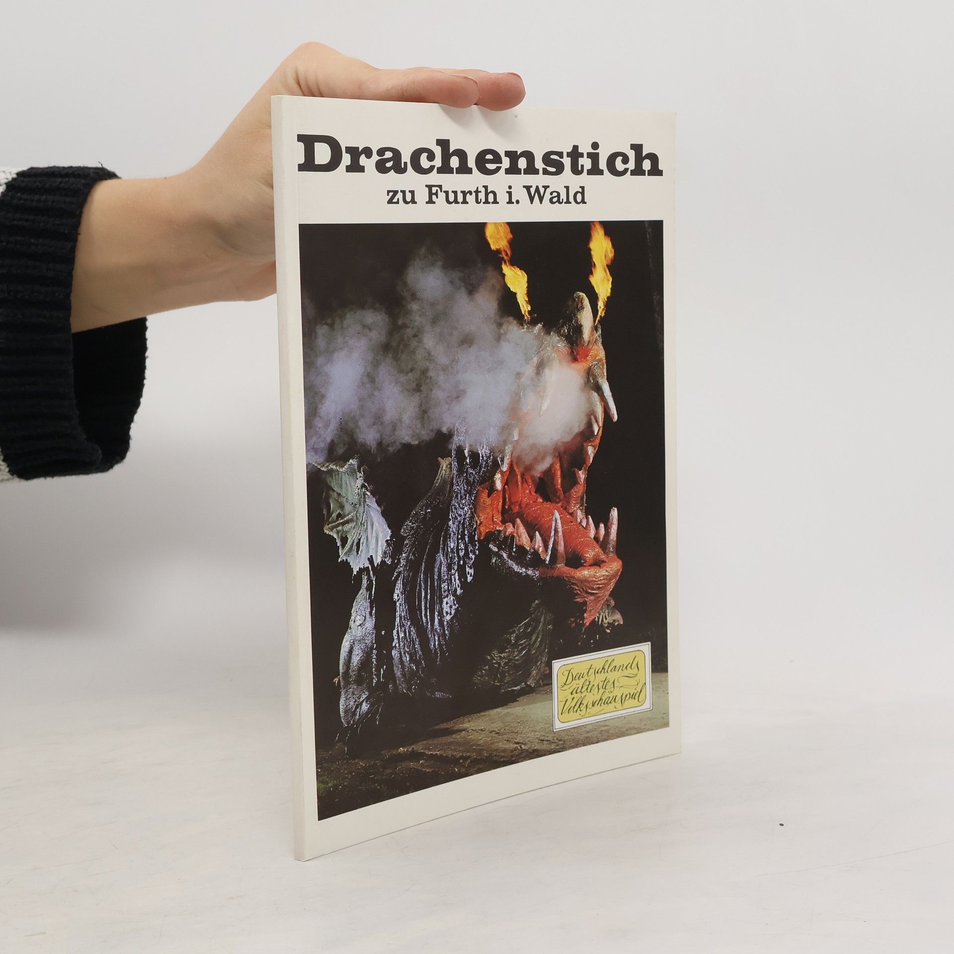 Erich Dimpfl Der Drachenstich zu Furth i. Wald