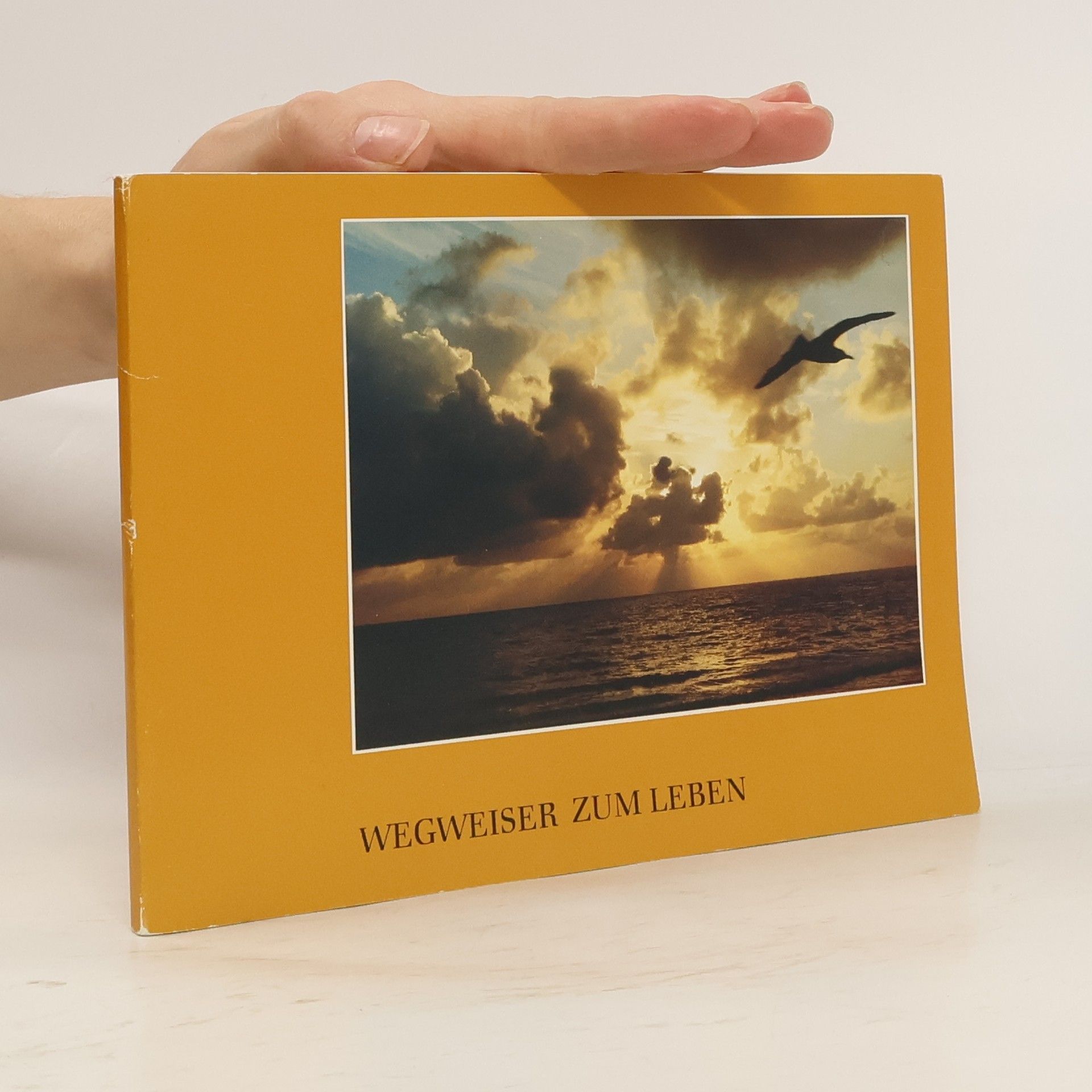AA.VV. Wegweiser zum Leben