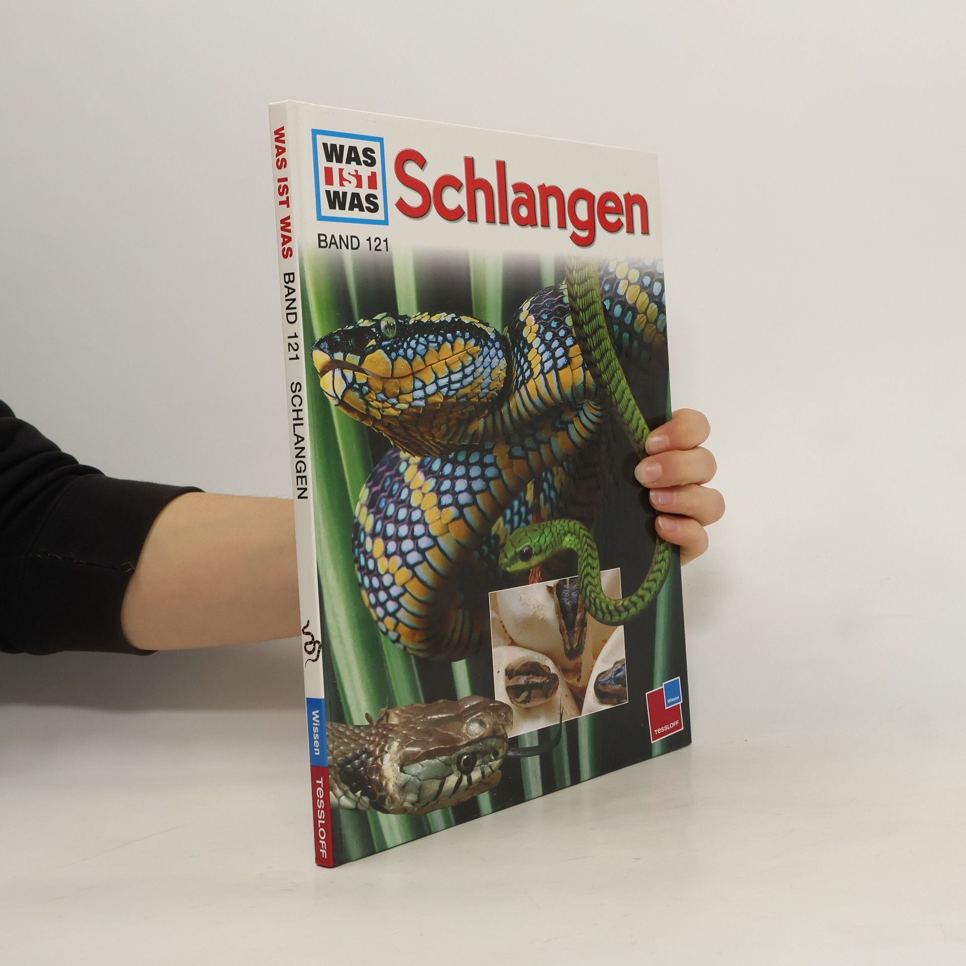 Dietmar Mertens Schlangen