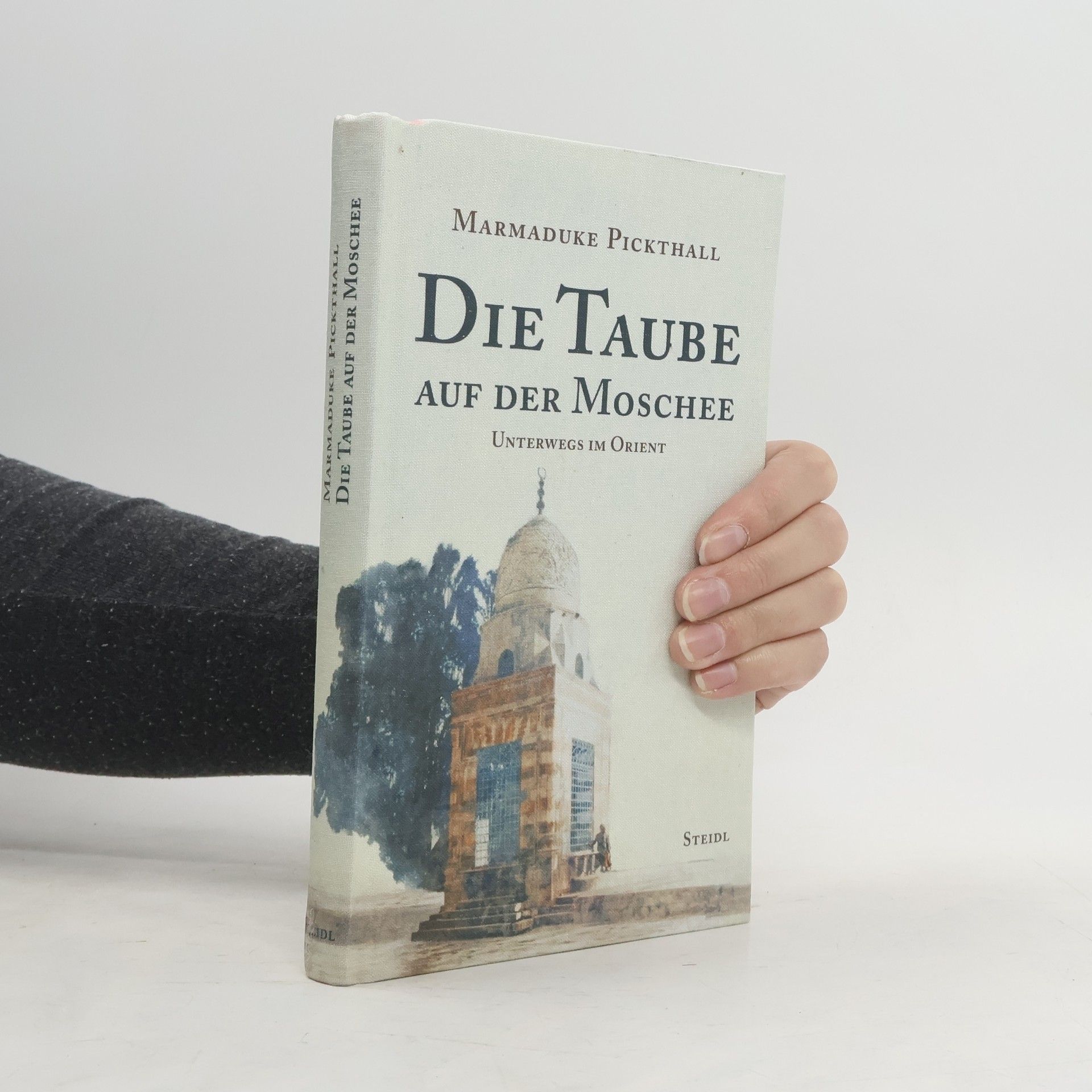 Die Taube auf der Moschee