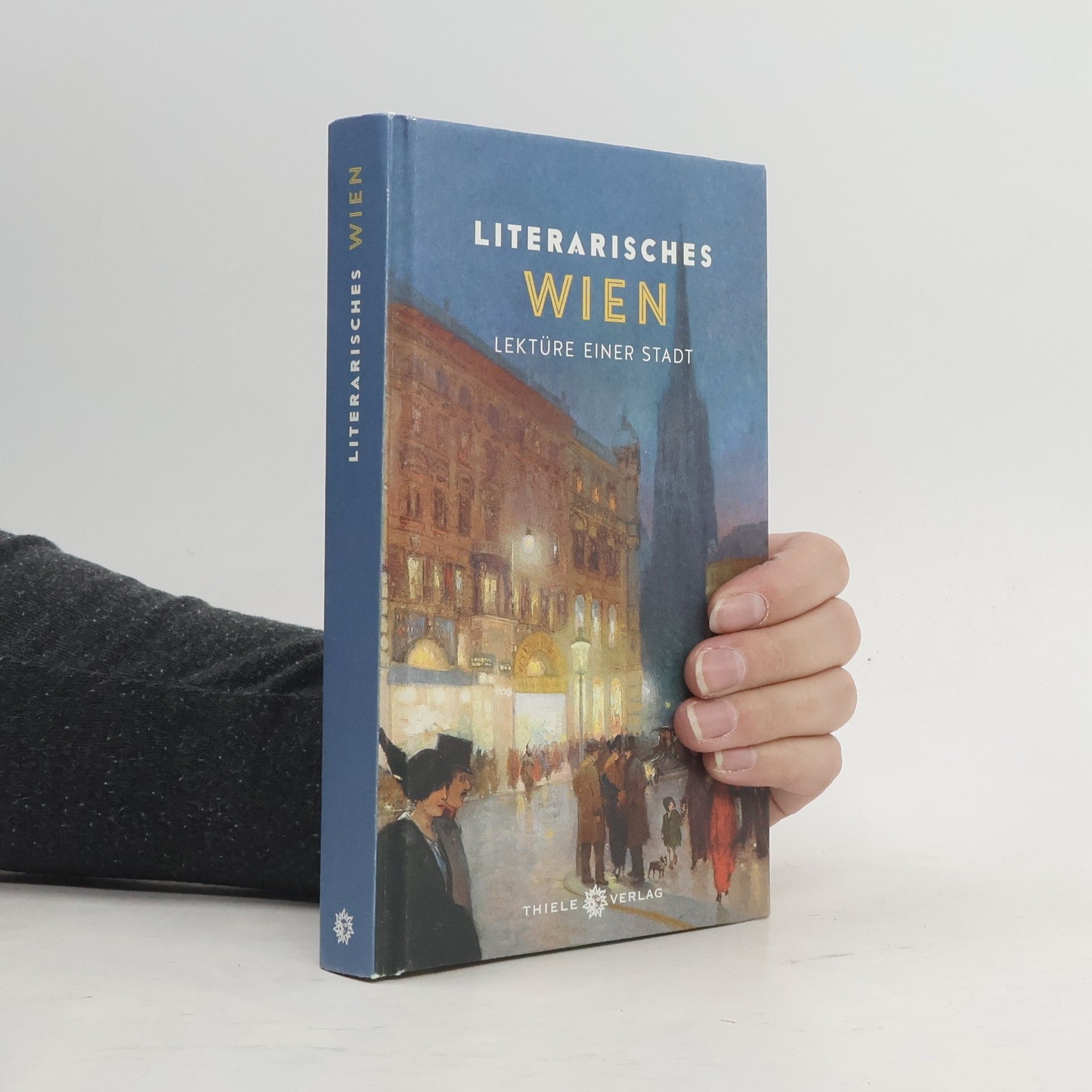 Johannes Thiele Literarisches Wien. Lektüre einer Stadt