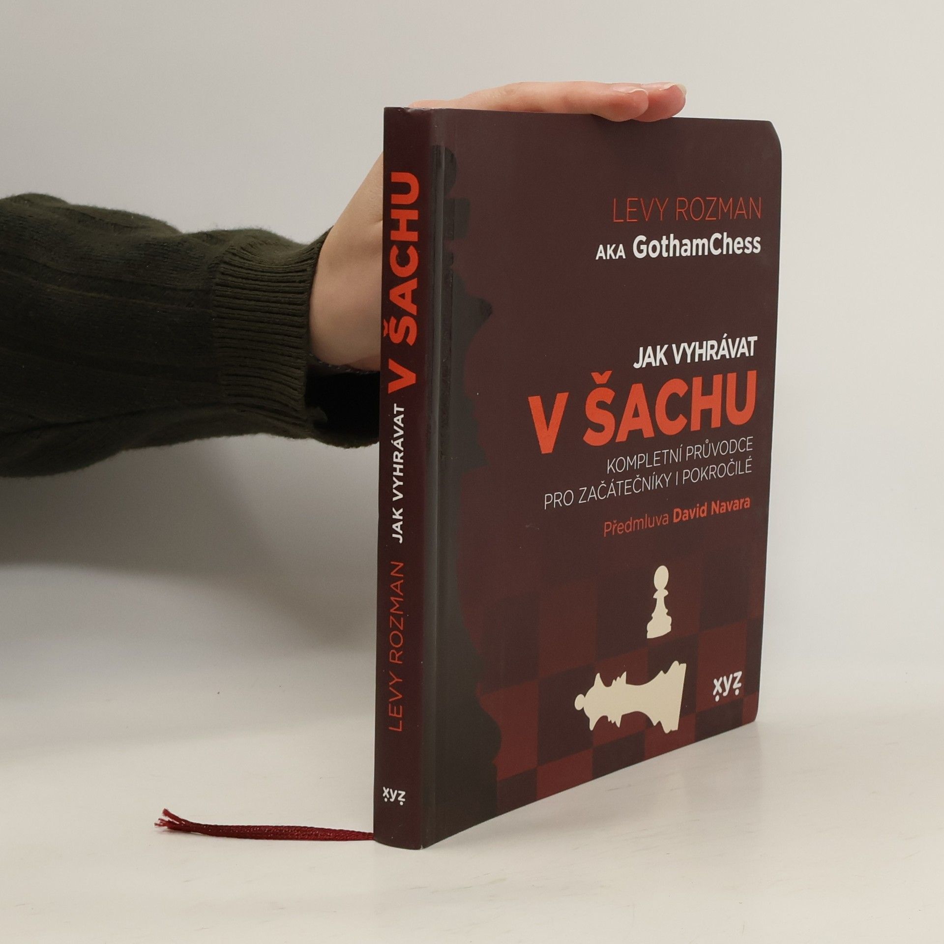 Levy Rozman Jak vyhrávat v šachu