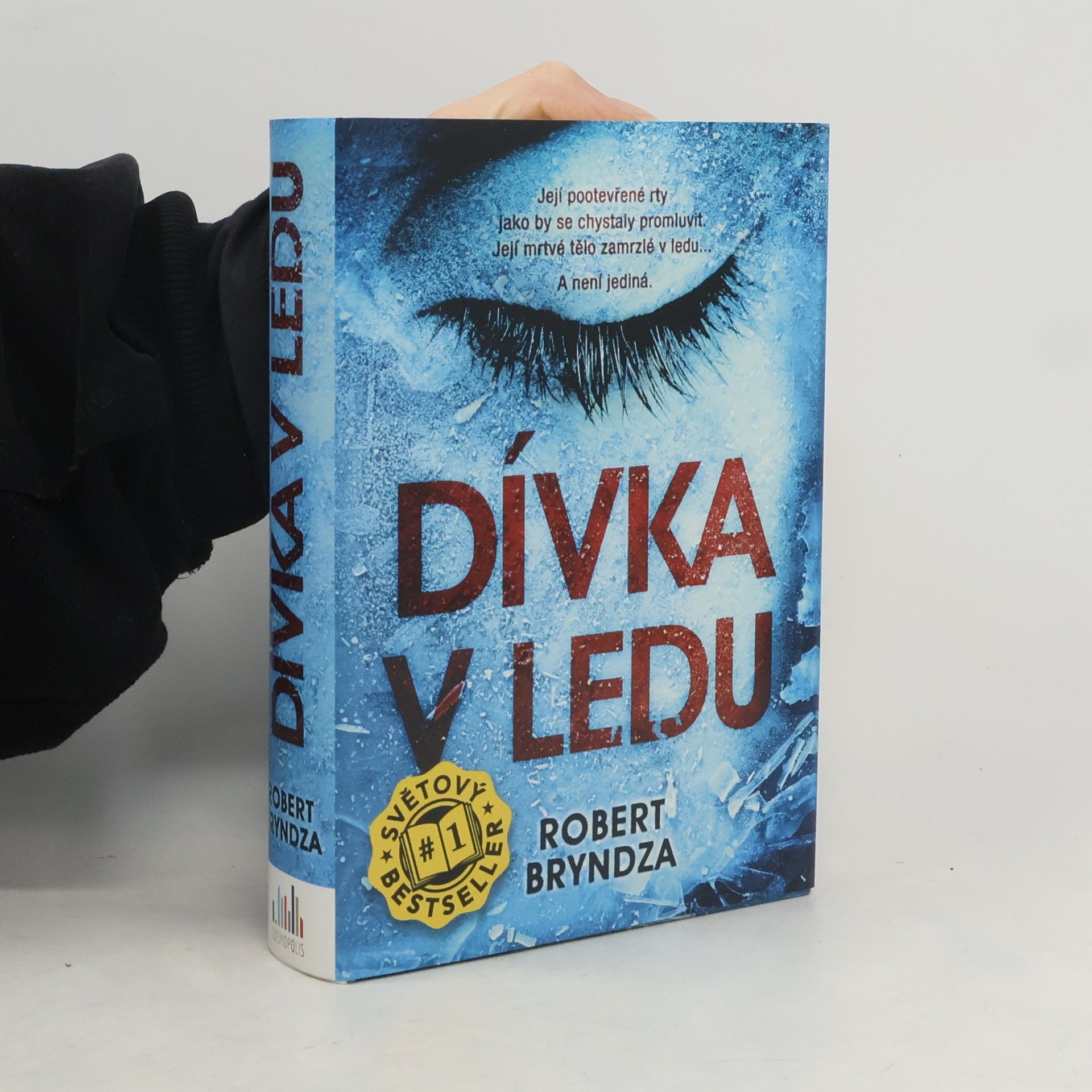 Robert Bryndza Dívka v ledu