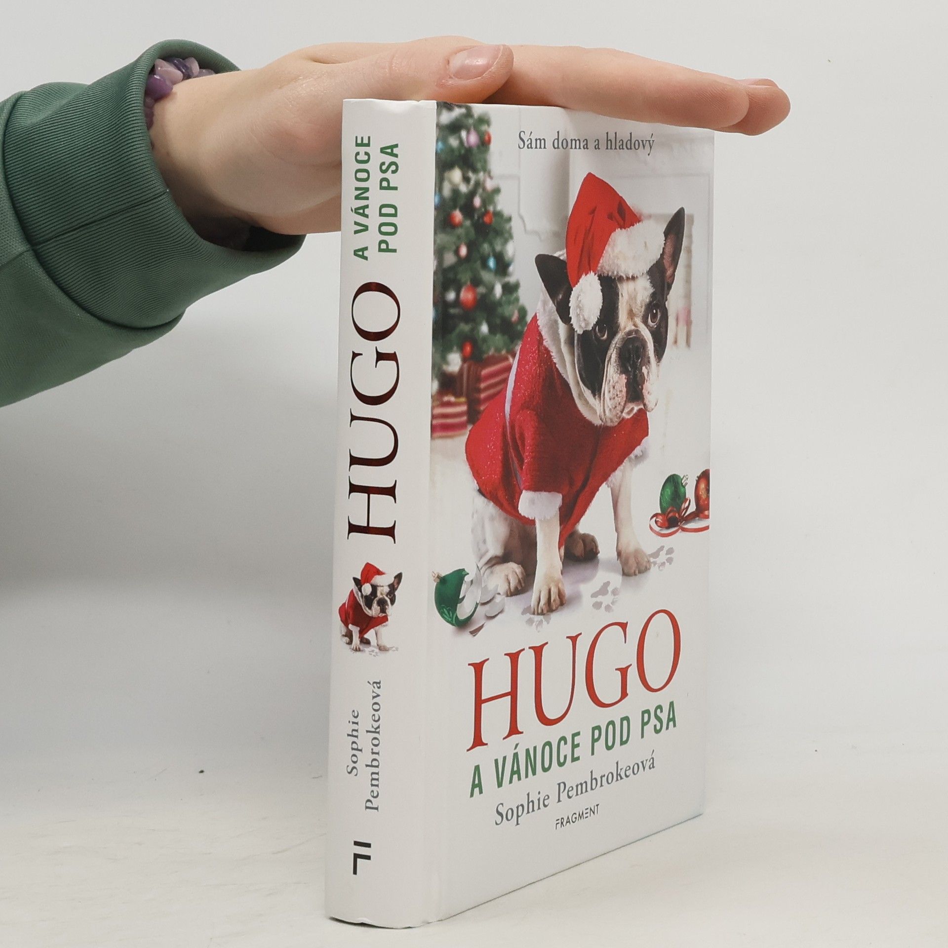 Sophie Pembroke Hugo a Vánoce pod psa