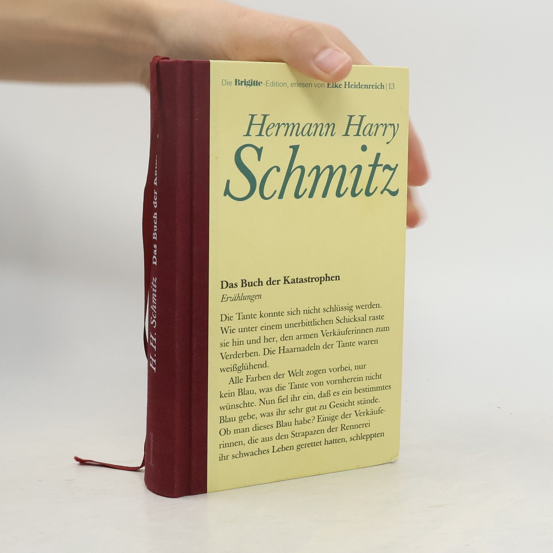 Hermann Harry Schmitz Das Buch der Katastrophen