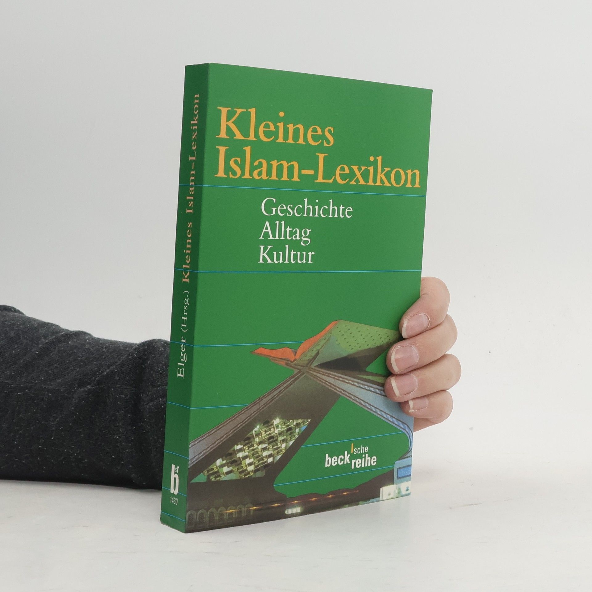 Ralf Elger Kleines Islam-Lexikon