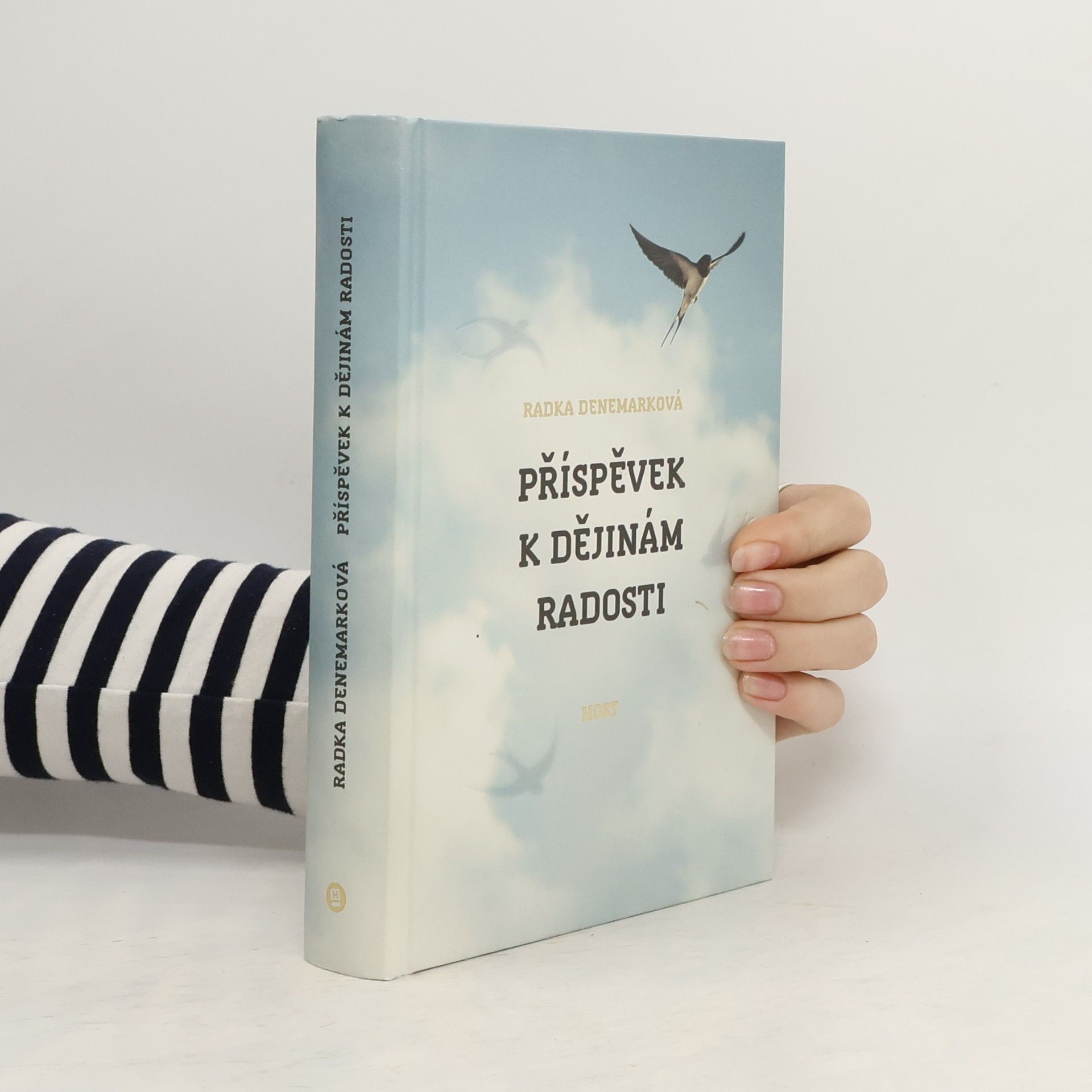 Radka Denemarková Příspěvek k dějinám radosti