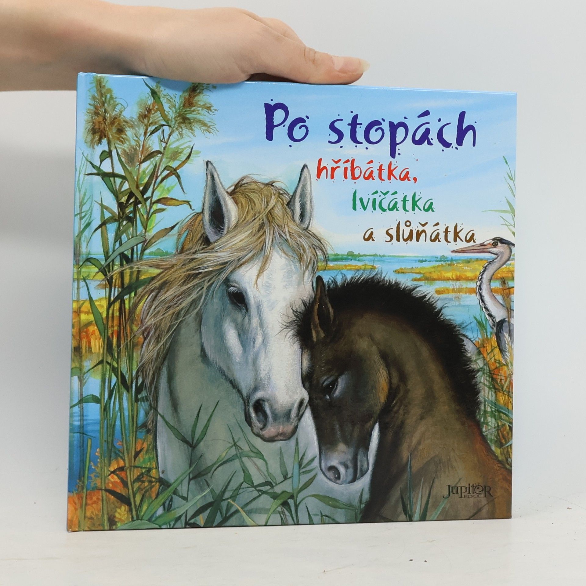 Pierre Couronne Po stopách hříbátka, lvíčátka a slůňátka