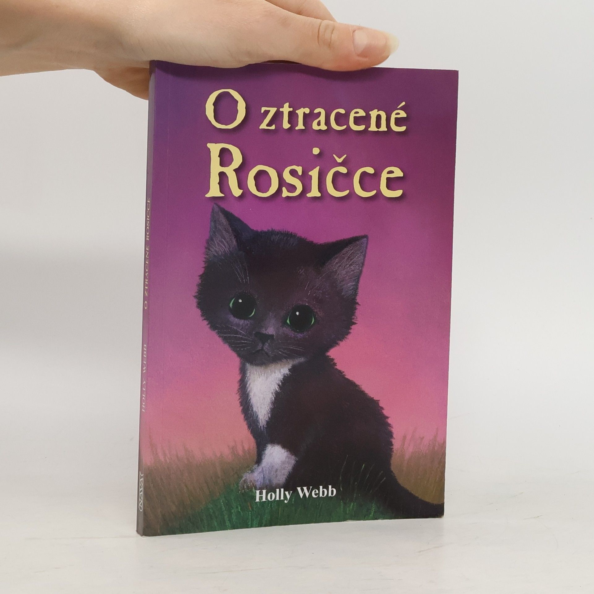 Holly Webb O ztracené Rosičce